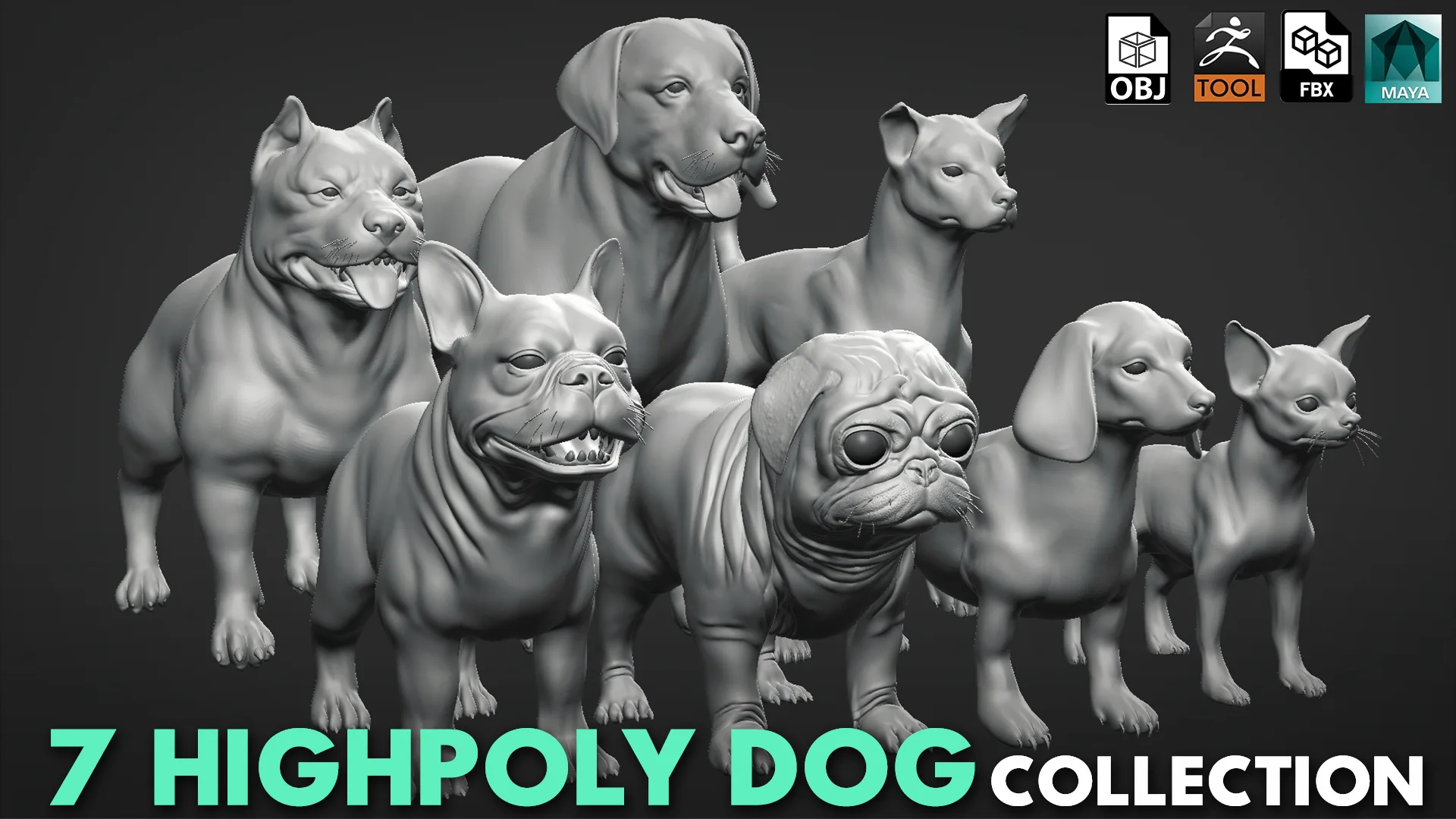 Mega Dog Pack - Topology + UV Map ( Pitbull+Labrador+StreetDog+French BullDog+Pug+Dachshund+Chihuahua)