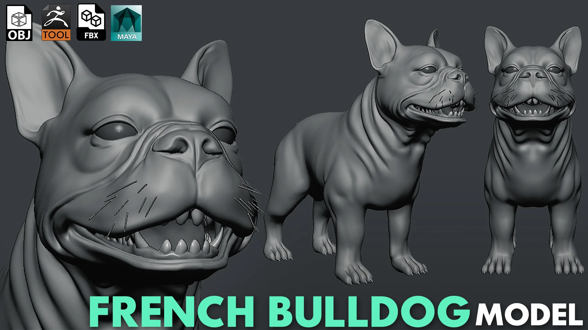 Mega Dog Pack - Topology + UV Map ( Pitbull+Labrador+StreetDog+French BullDog+Pug+Dachshund+Chihuahua)
