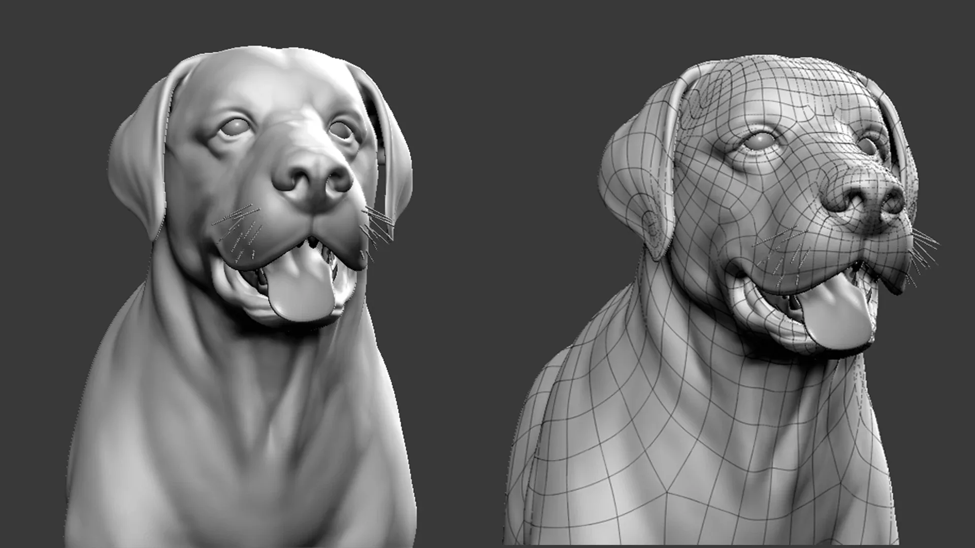 Mega Dog Pack - Topology + UV Map ( Pitbull+Labrador+StreetDog+French BullDog+Pug+Dachshund+Chihuahua)