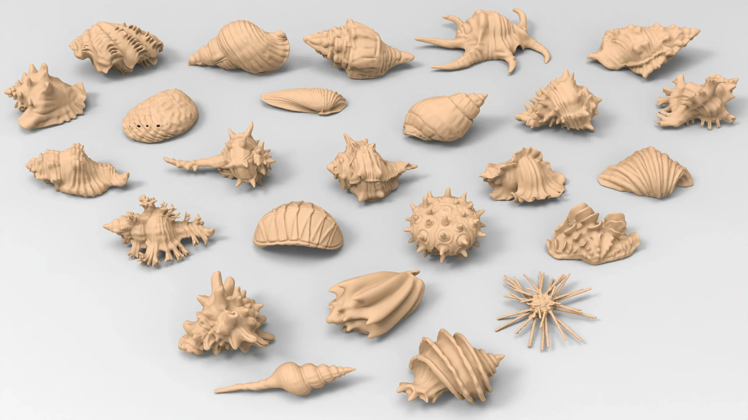 25 basemesh shell collection