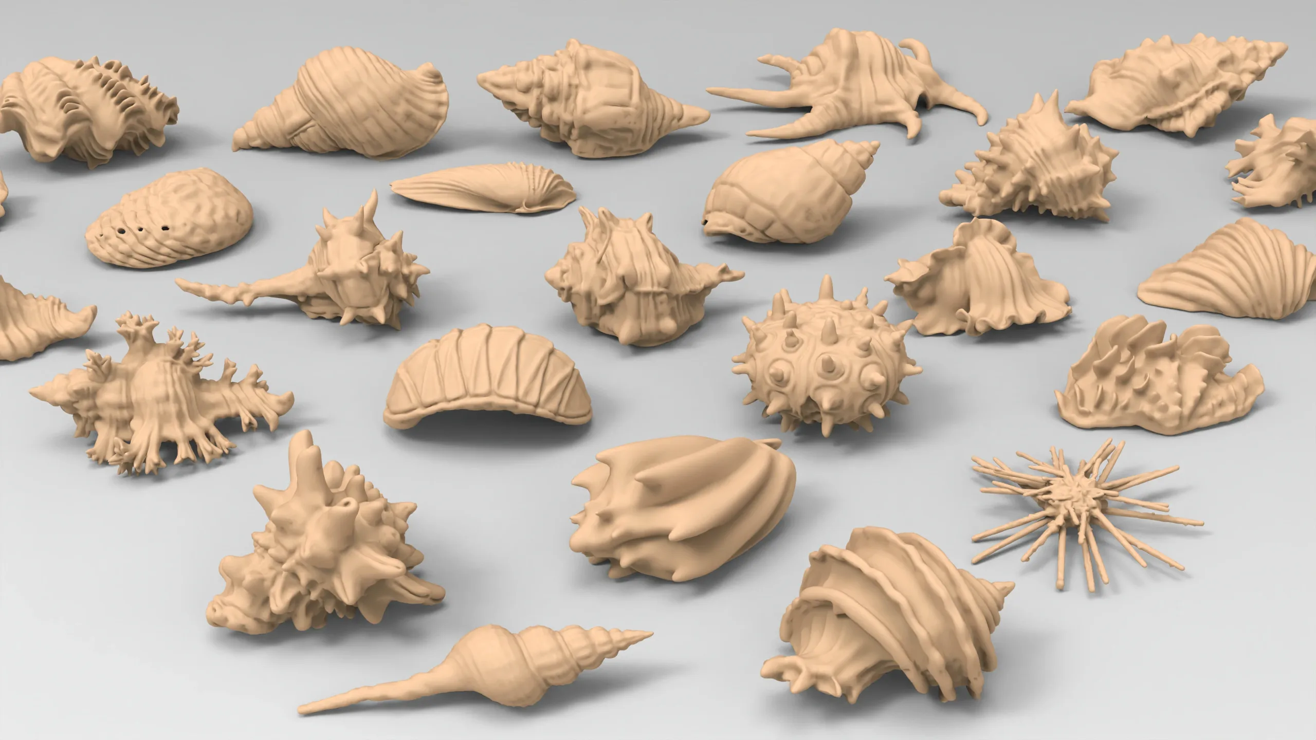 25 basemesh shell collection