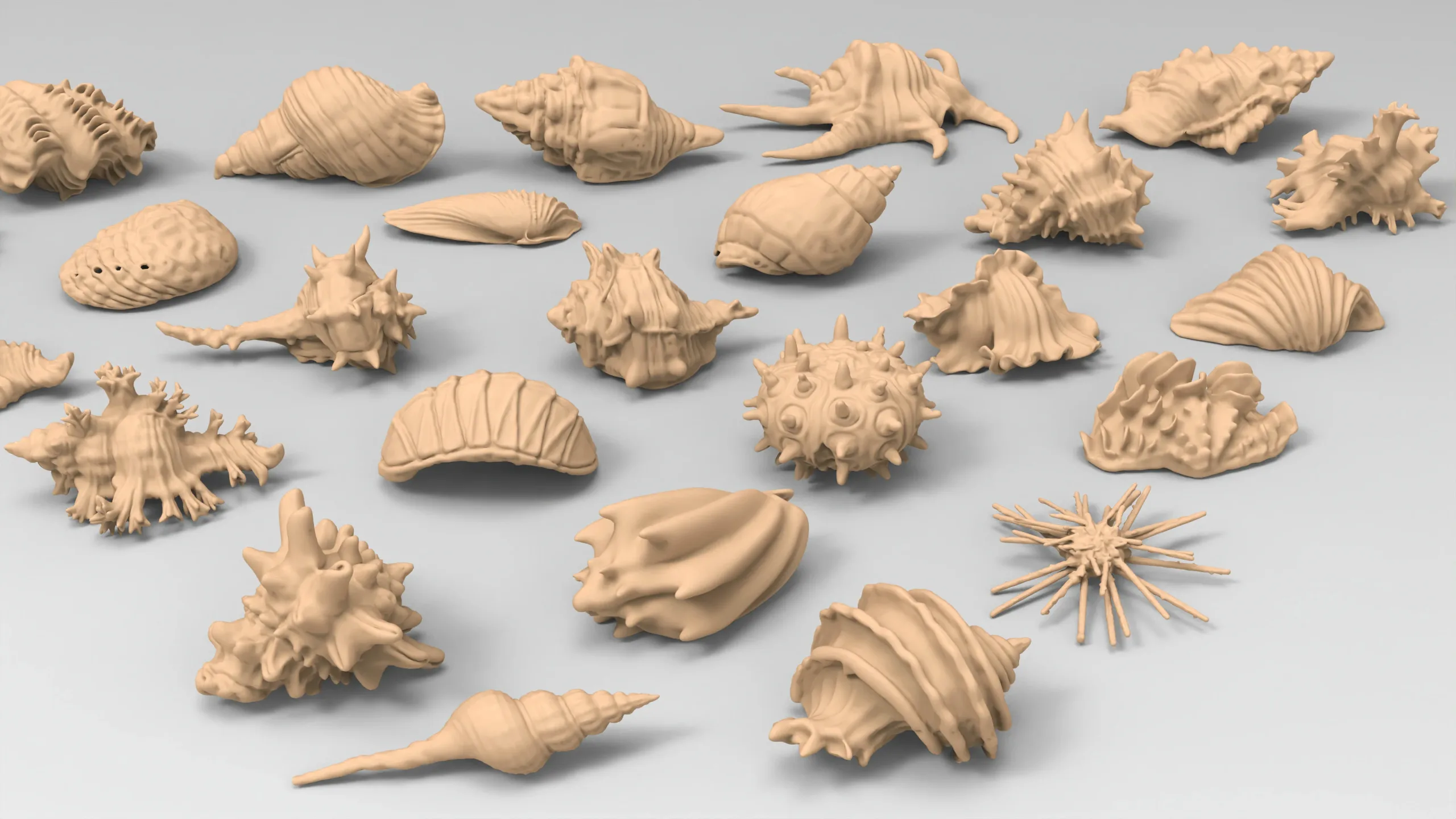 25 basemesh shell collection