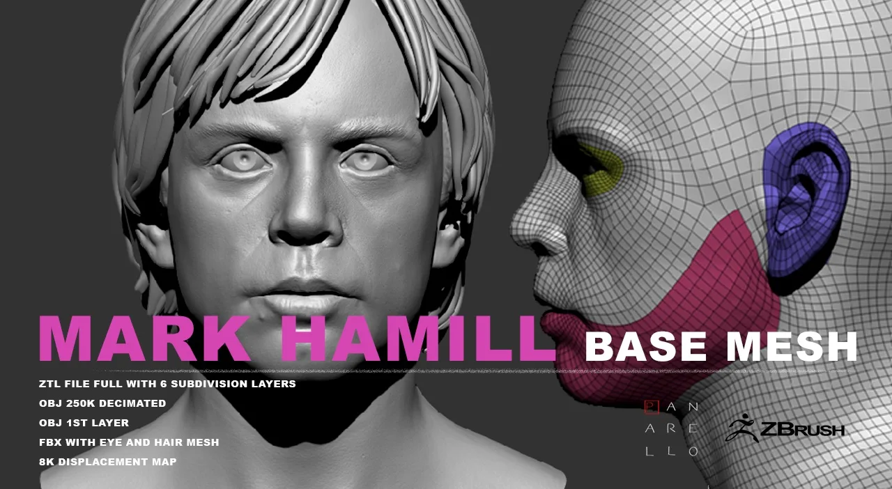 Mark Hamill - Luke Skywalker 3d model basemesh