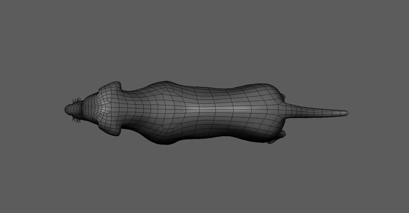 Labrador Dog BaseMesh - Topology + UV Map