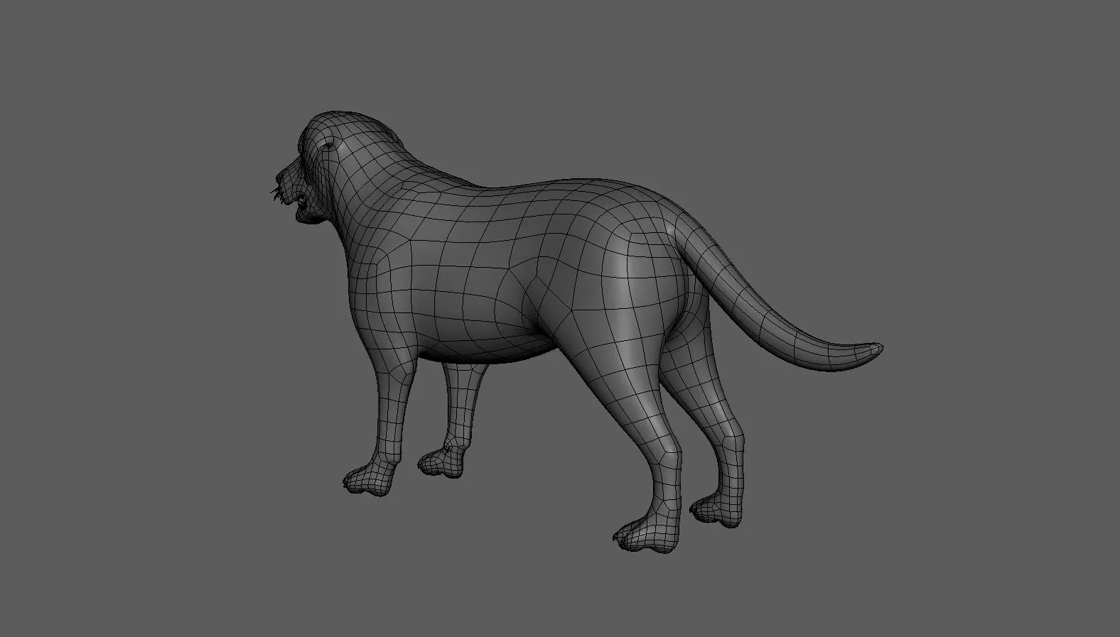 Labrador Dog BaseMesh - Topology + UV Map