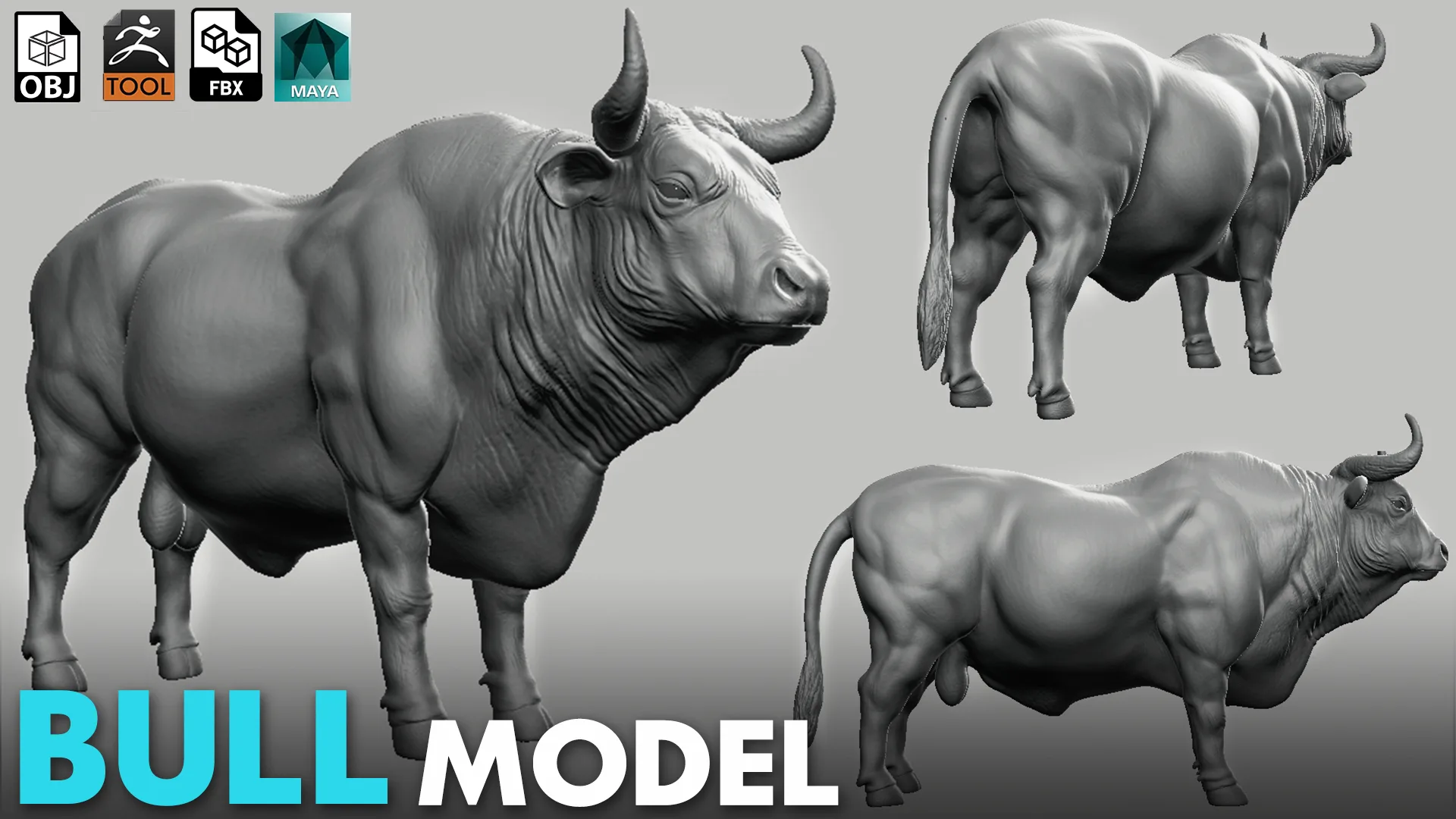 Bull - Topology + UV Map