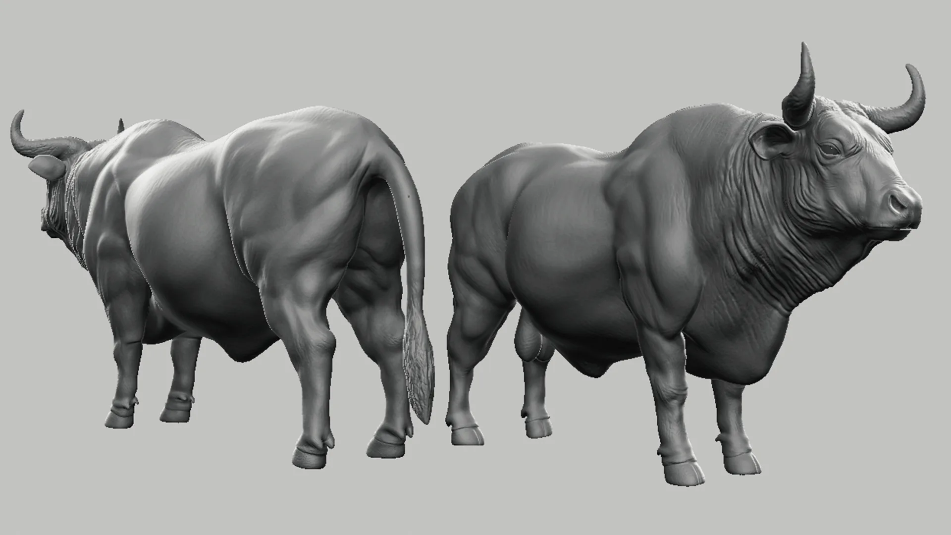 Bull - Topology + UV Map