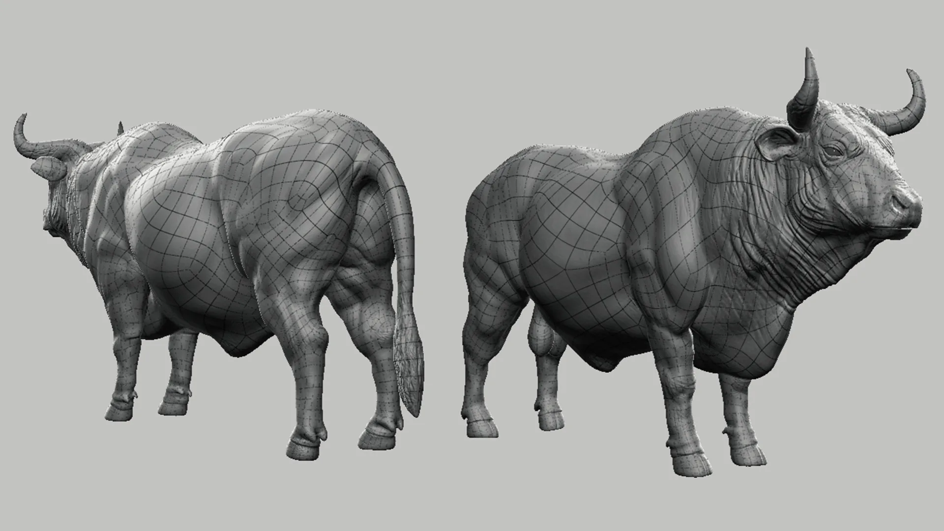 Bull - Topology + UV Map