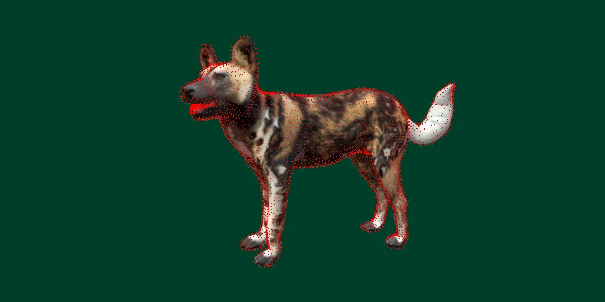 African Wild Dog