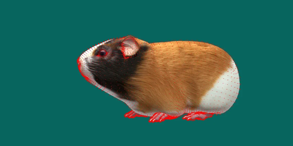 Guinea Pig