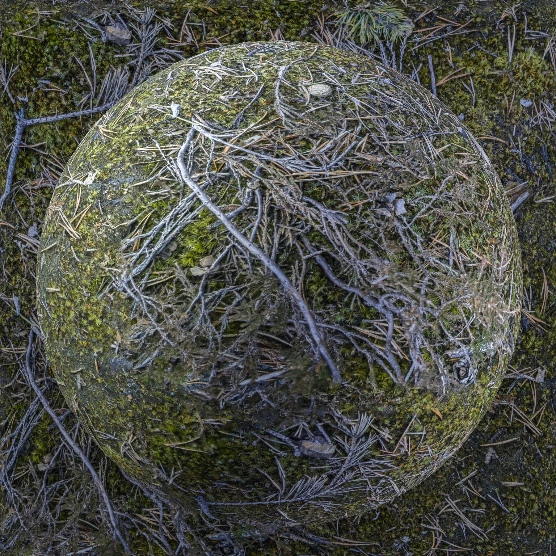 PBR Ground Bundle - 70 8K Seamless Textures (Free Sample)