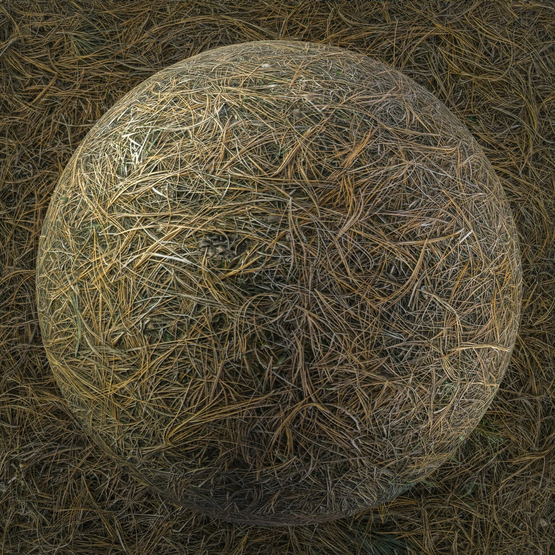 PBR Ground Bundle - 70 8K Seamless Textures (Free Sample)