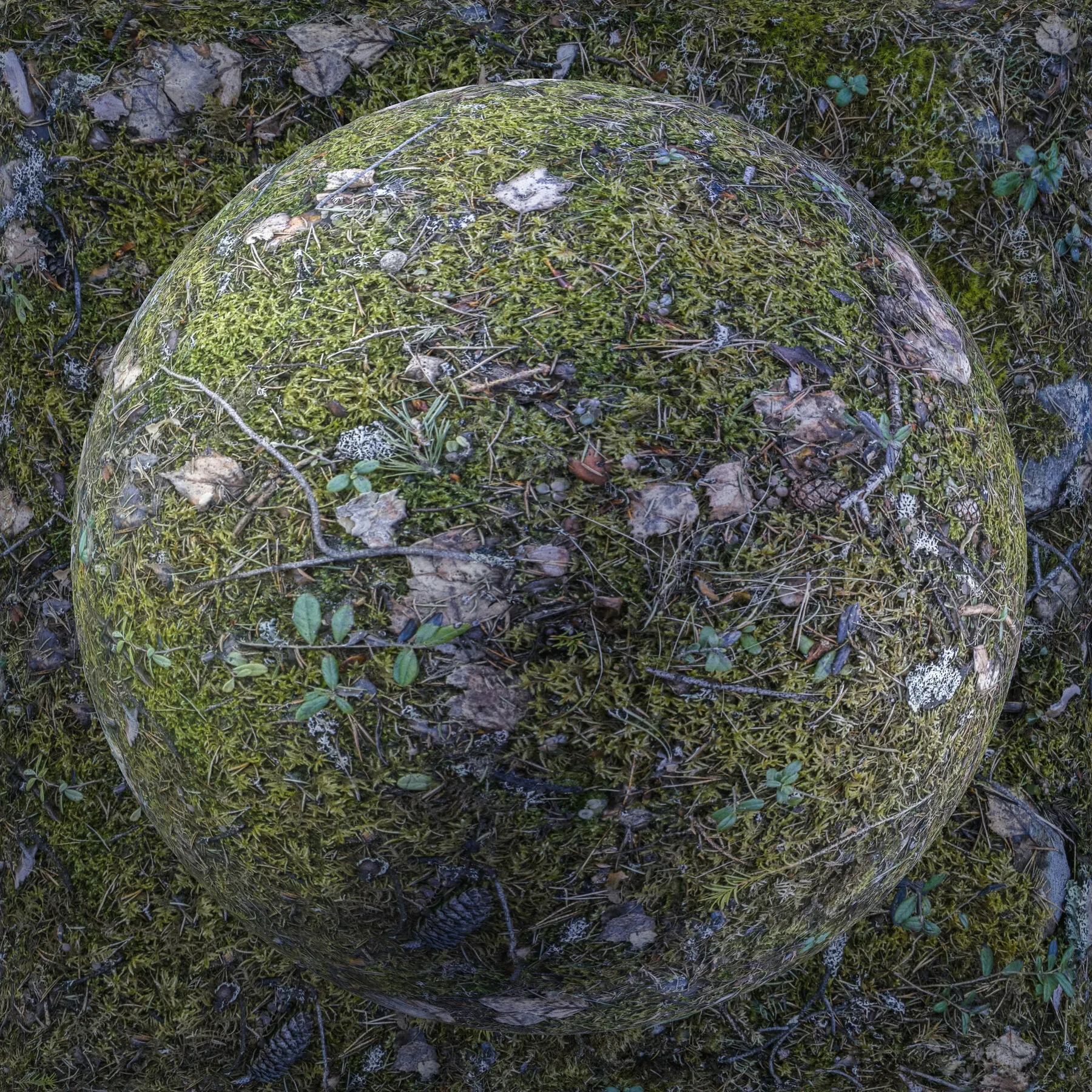 PBR Ground Bundle - 70 8K Seamless Textures (Free Sample)