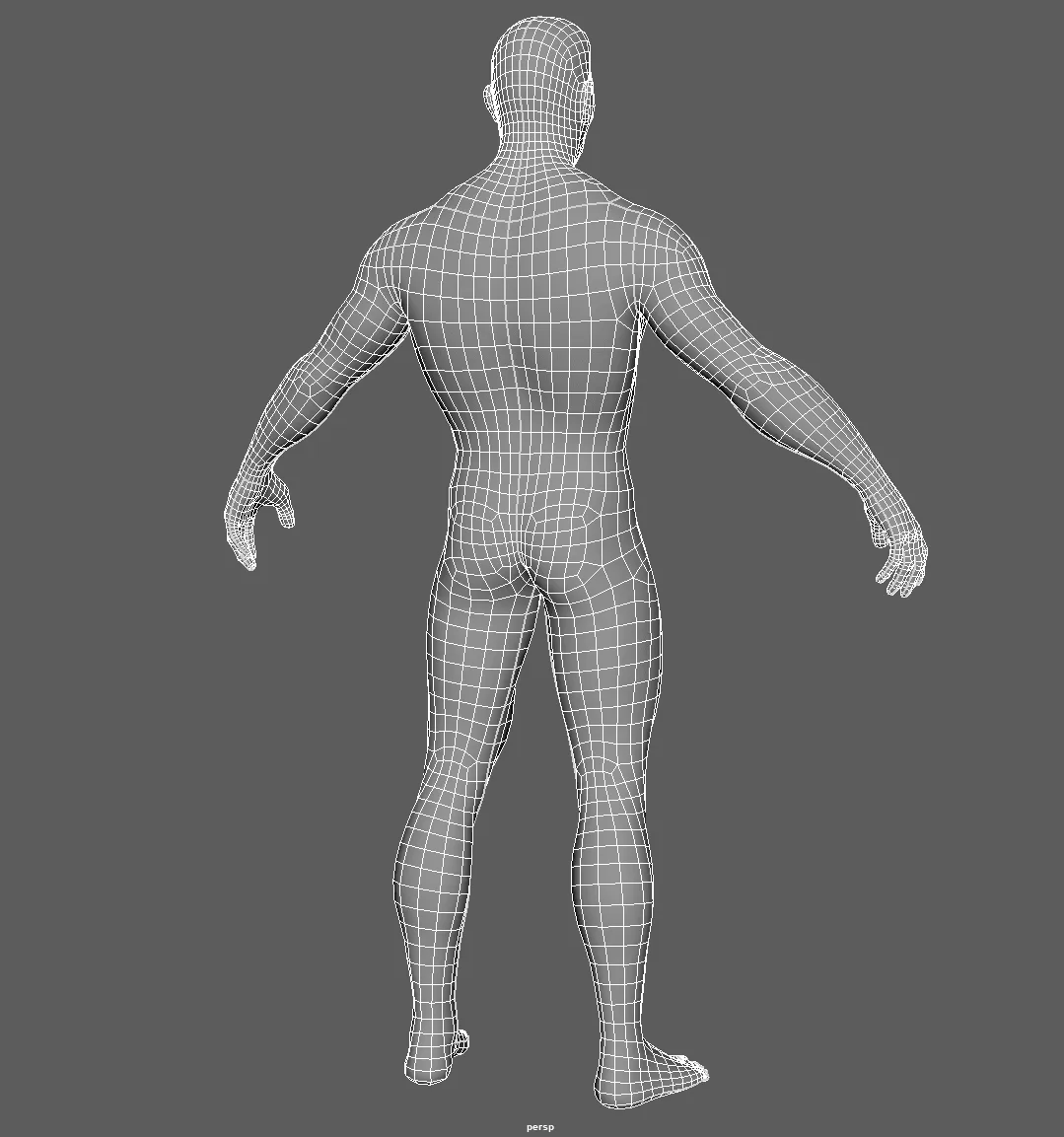 MALE BASE MESH