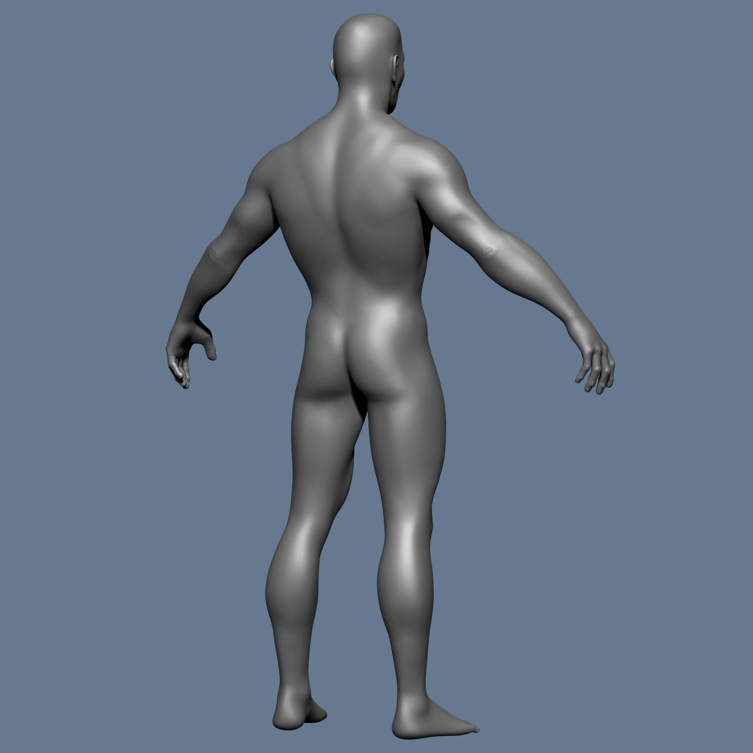 MALE BASE MESH