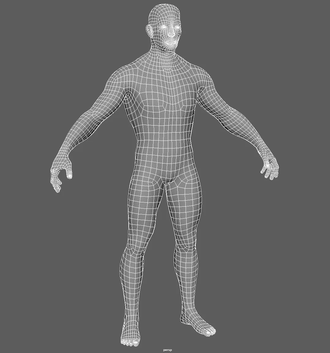 MALE BASE MESH