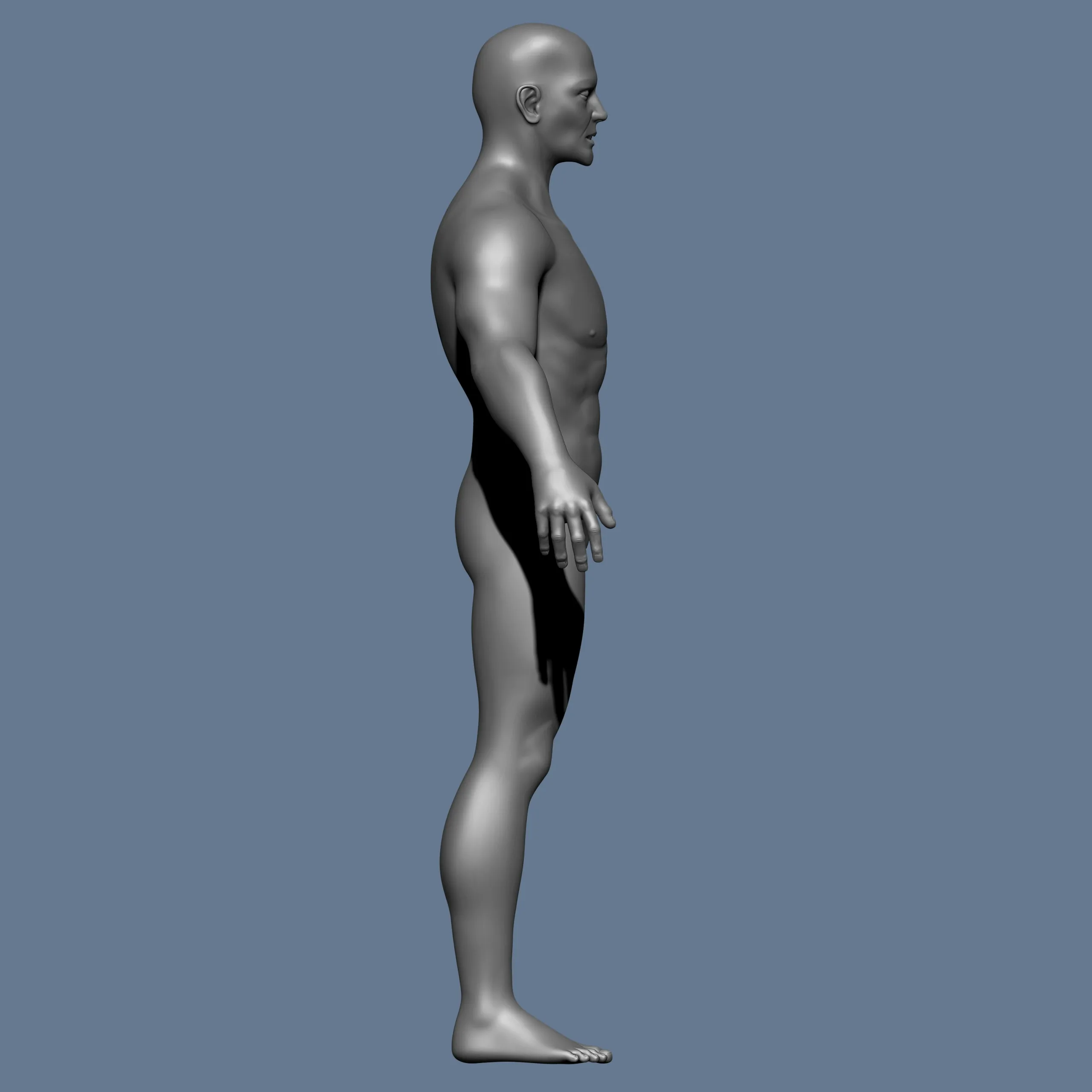 MALE BASE MESH