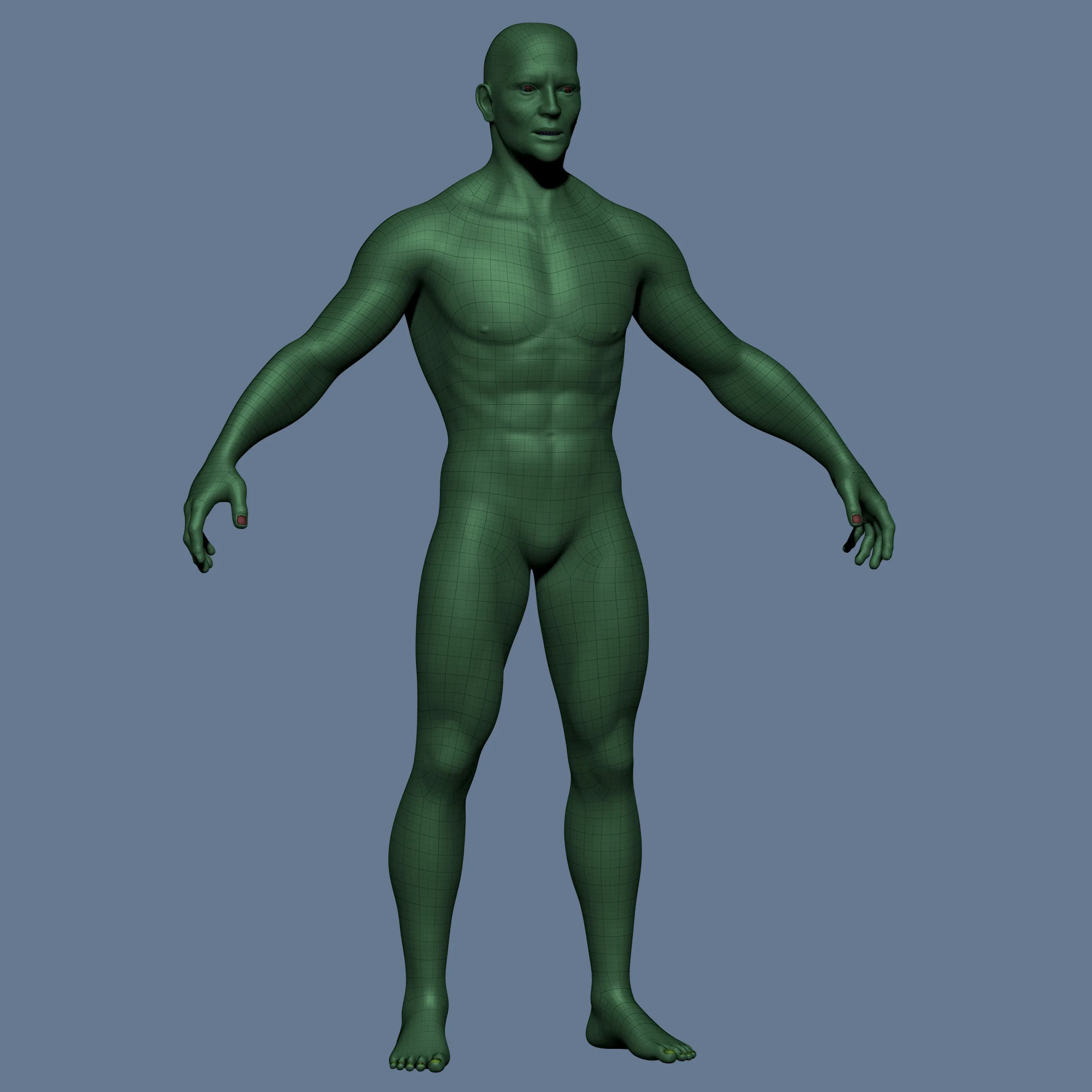 MALE BASE MESH