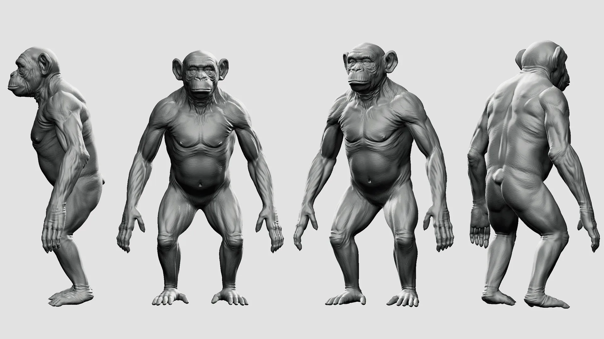 Chimpanzee - Topology + UV Map