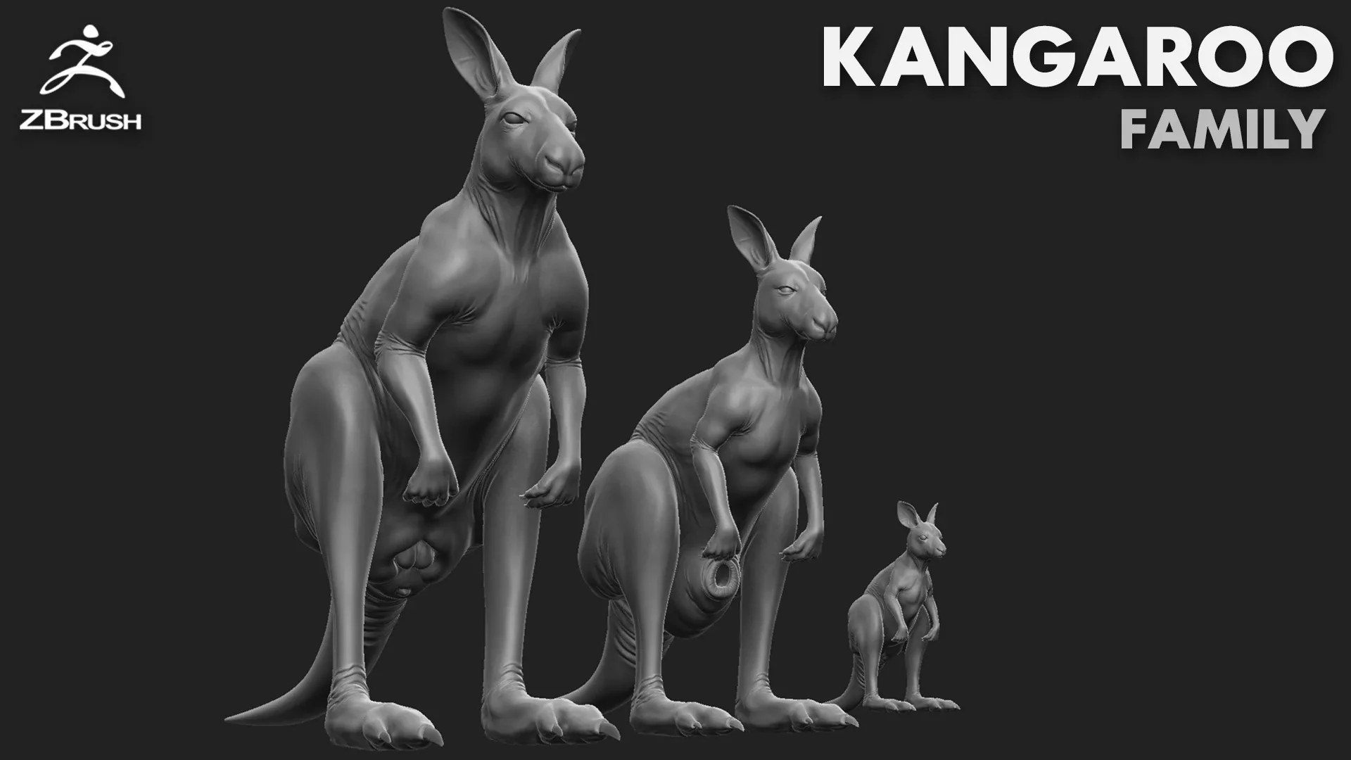 Kangaroo Family - Topology + UV Map