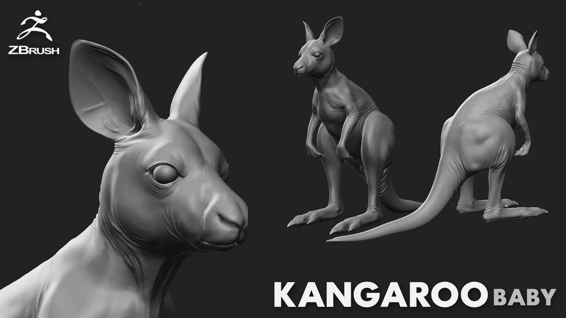 Kangaroo Baby - Topology + UV Map