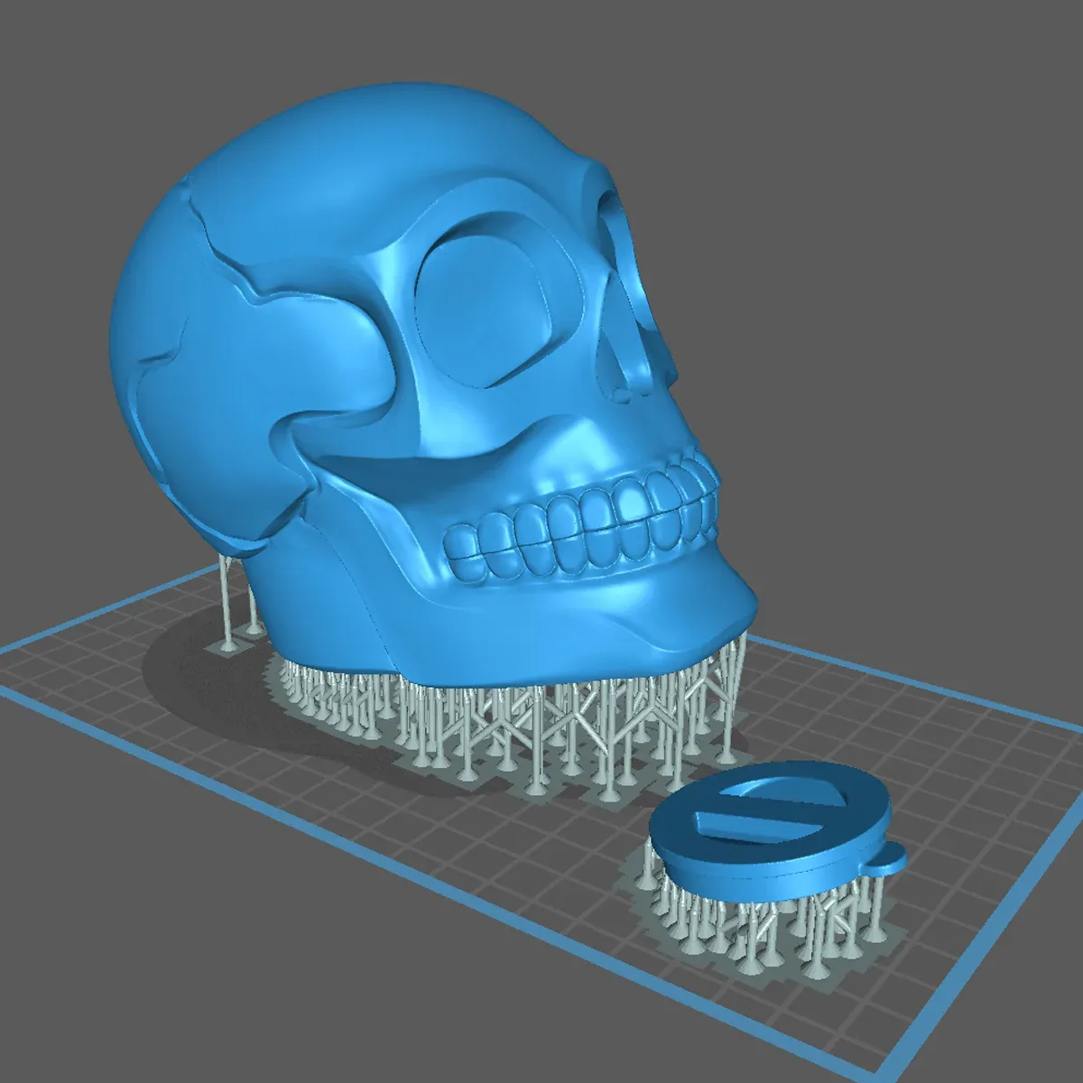 Skull Moneybox-3D Printable