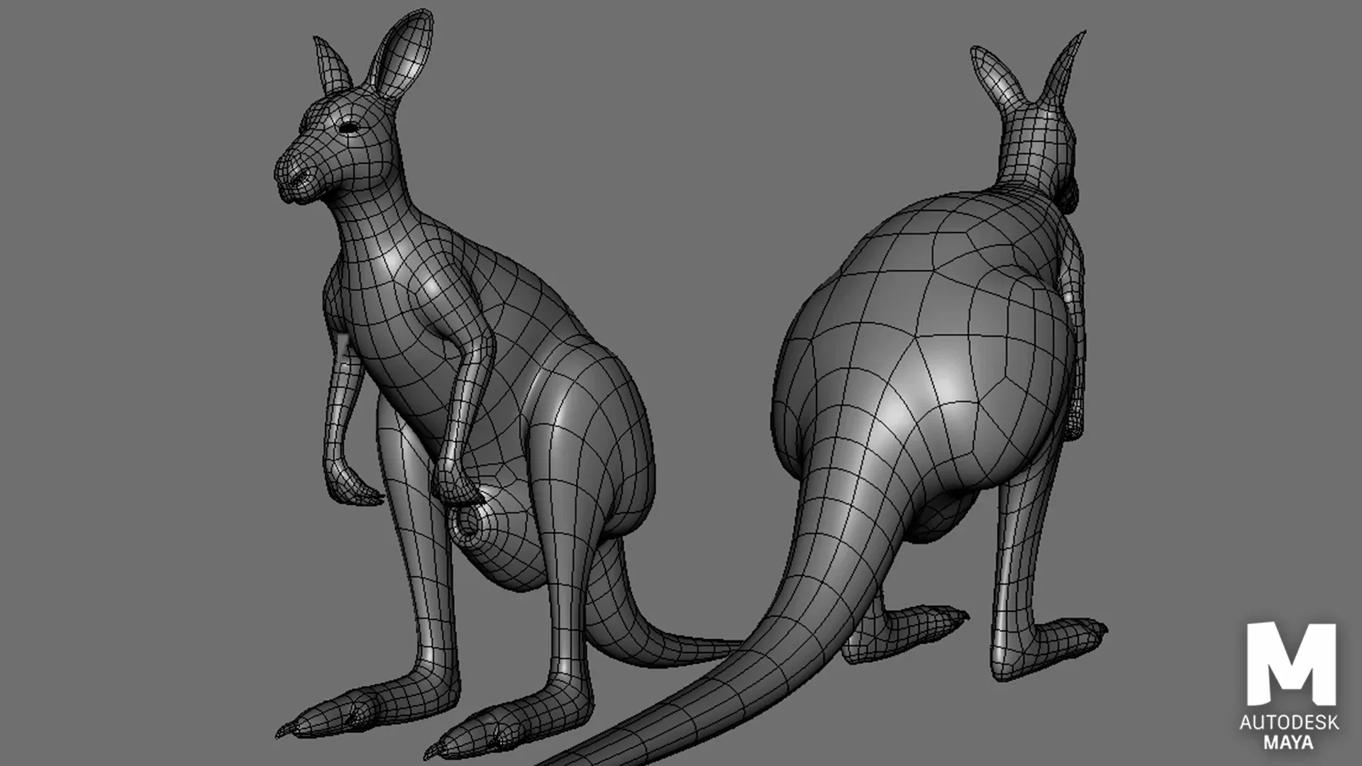 Kangaroo Family BaseMesh - Topology + UV Map