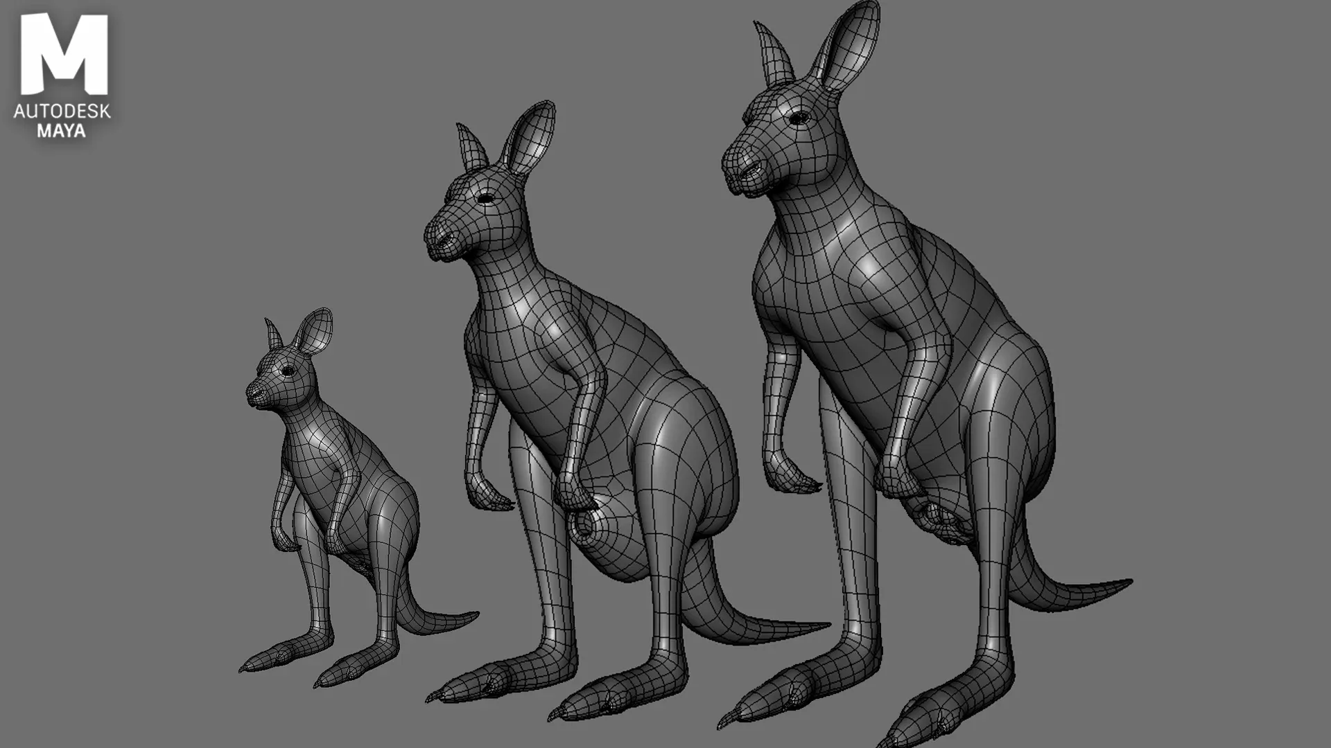 Kangaroo Family BaseMesh - Topology + UV Map