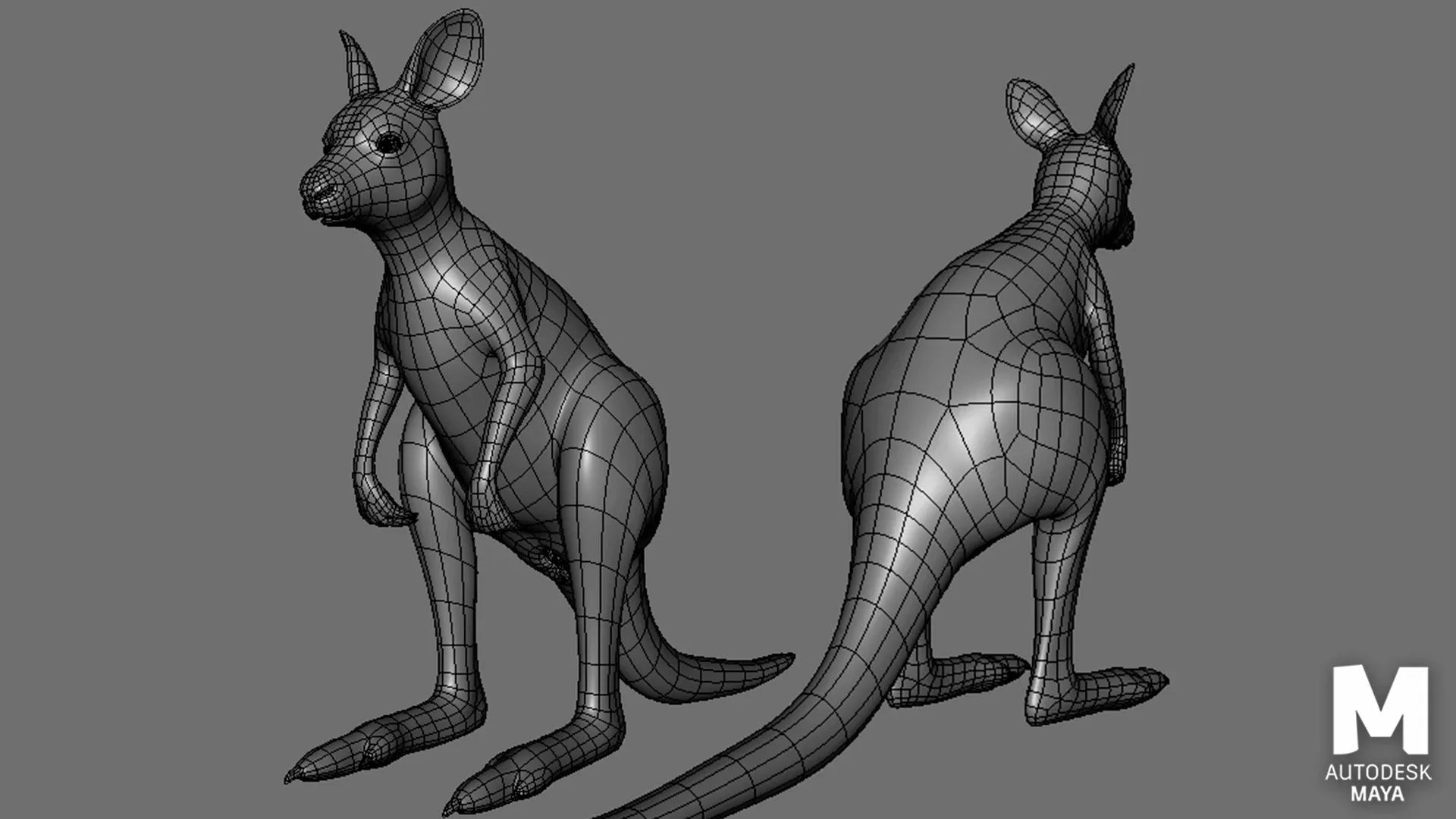 Kangaroo Family BaseMesh - Topology + UV Map