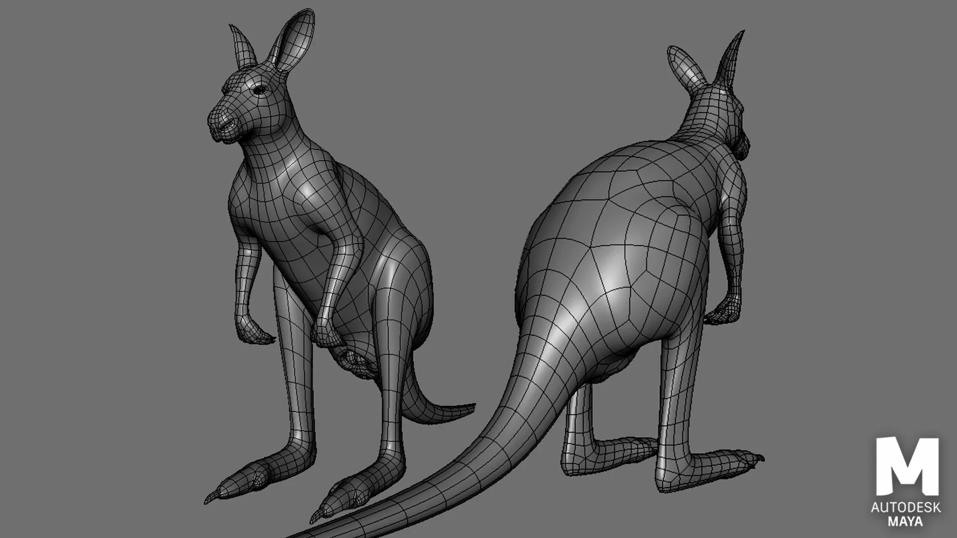 Kangaroo Family BaseMesh - Topology + UV Map