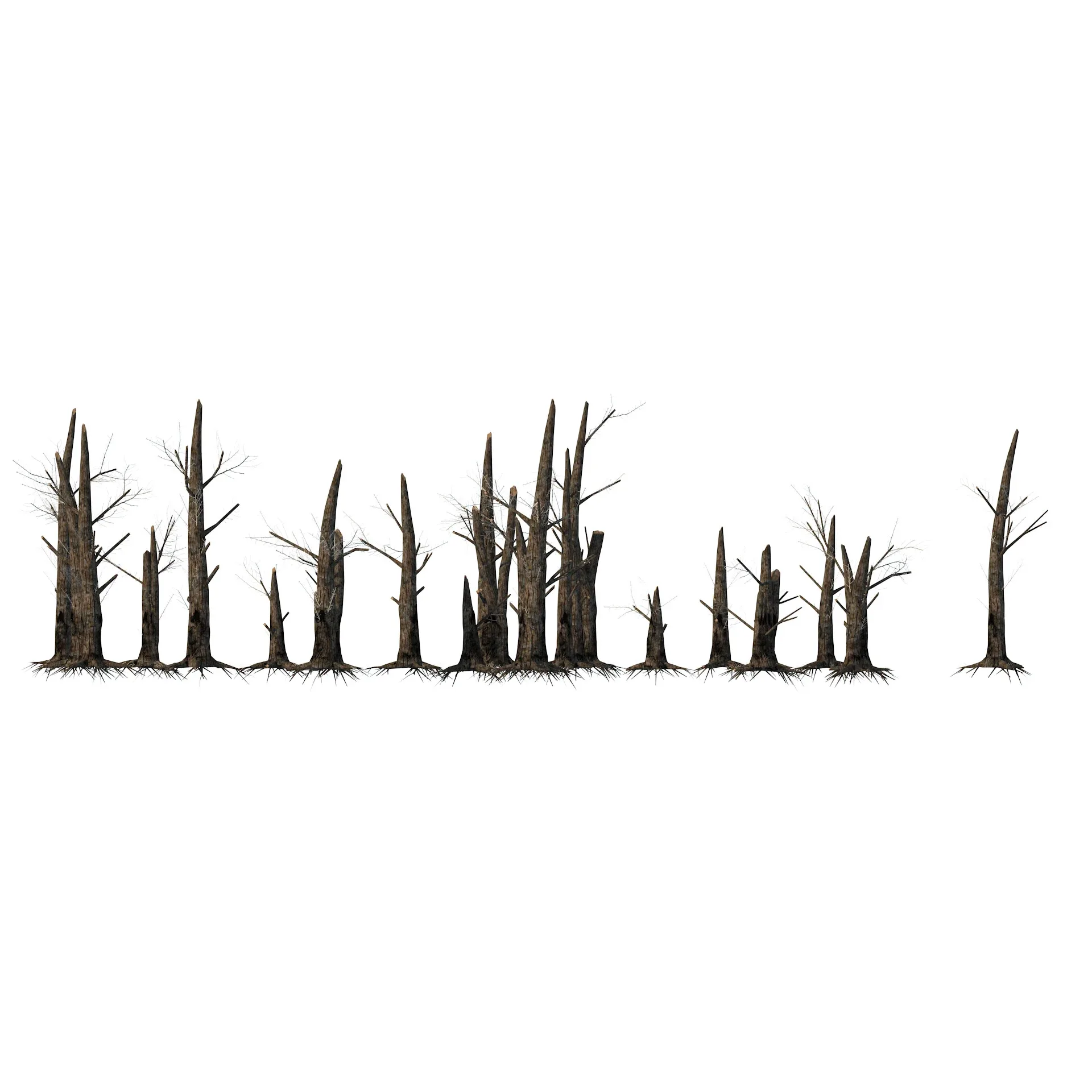 Fire-killed trees
