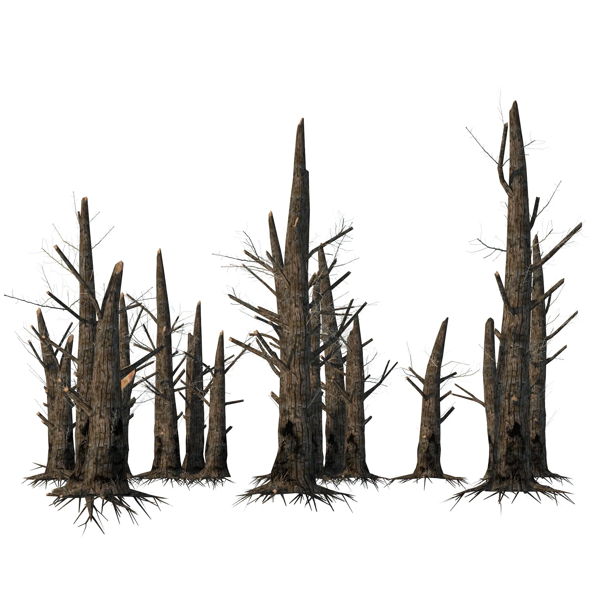 Fire-killed trees