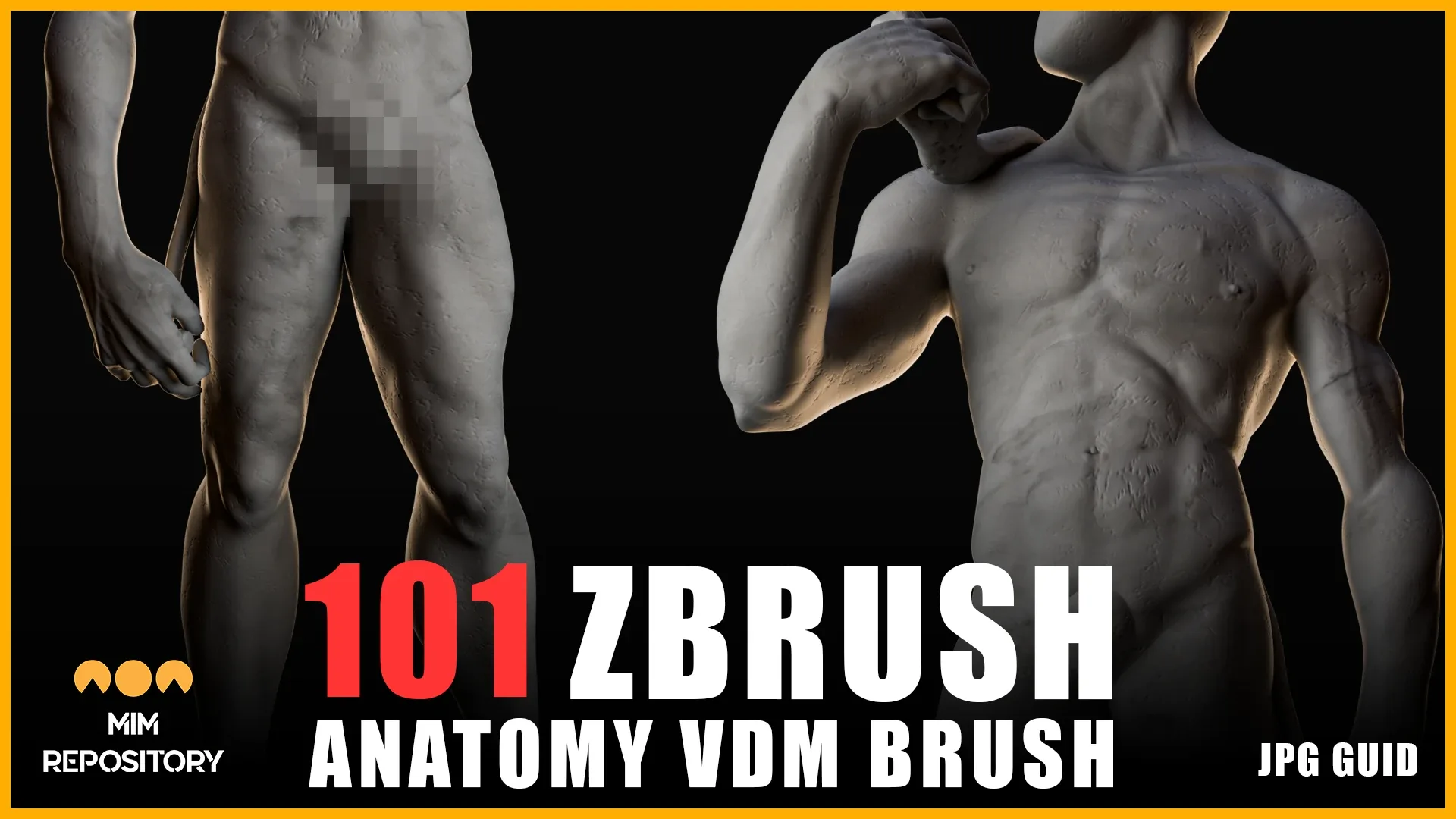 101 Anatomy VDM Brush - Body Parts and Muscles