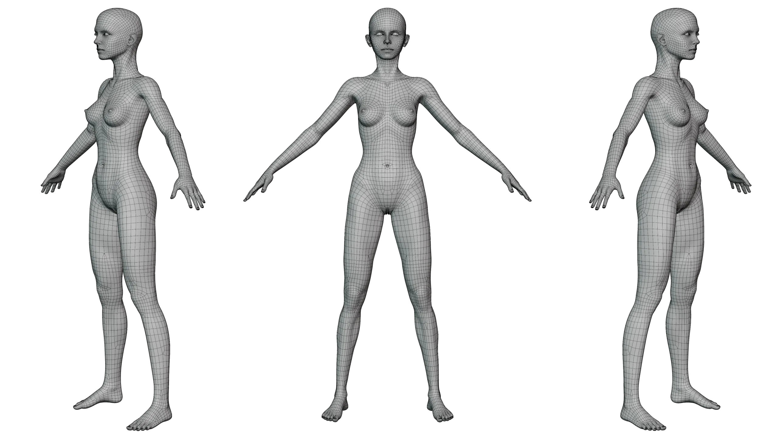 Male & Female Basemeshes - Adam & Eve