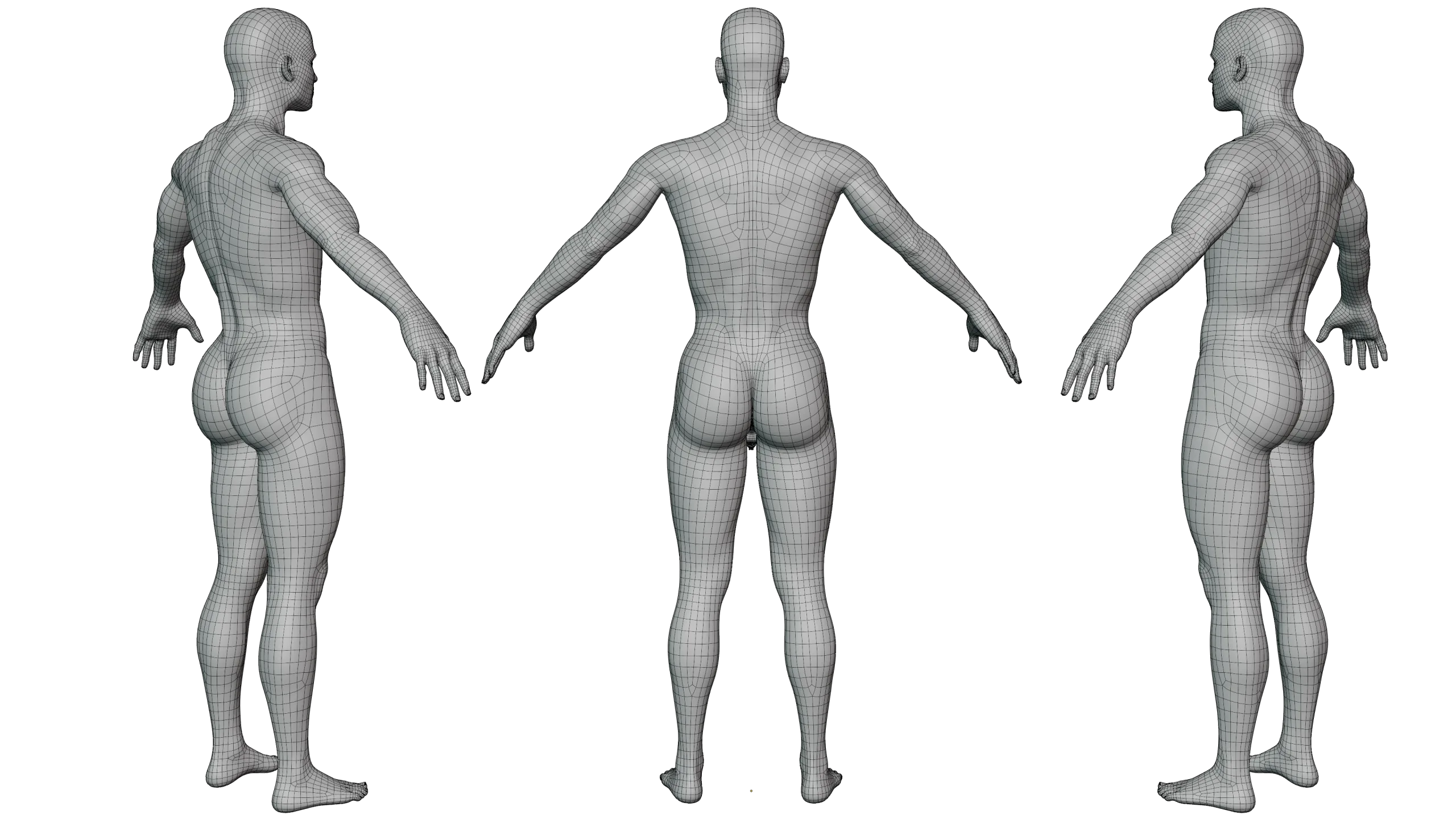 Male & Female Basemeshes - Adam & Eve