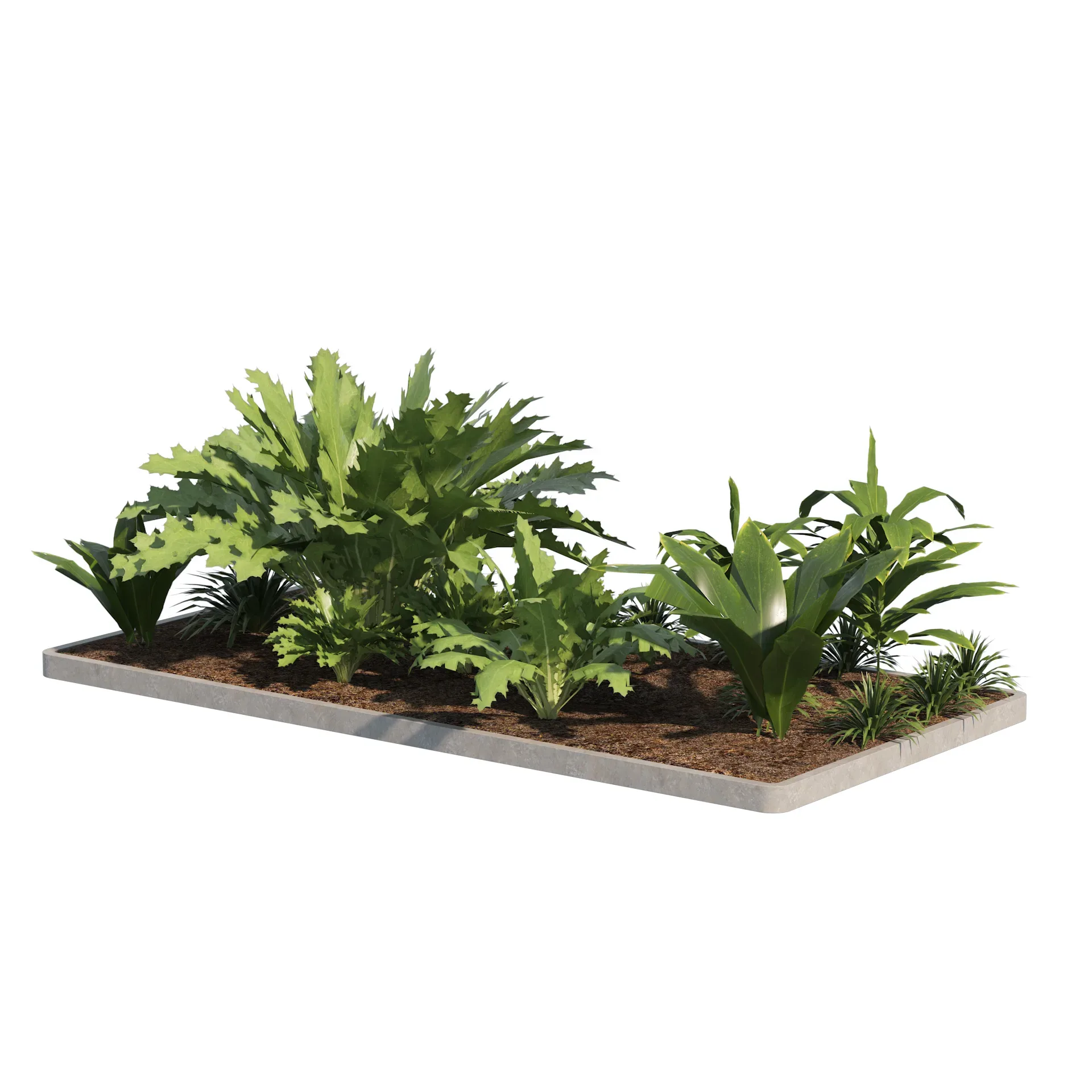 Low poly Tropical Plant grouping