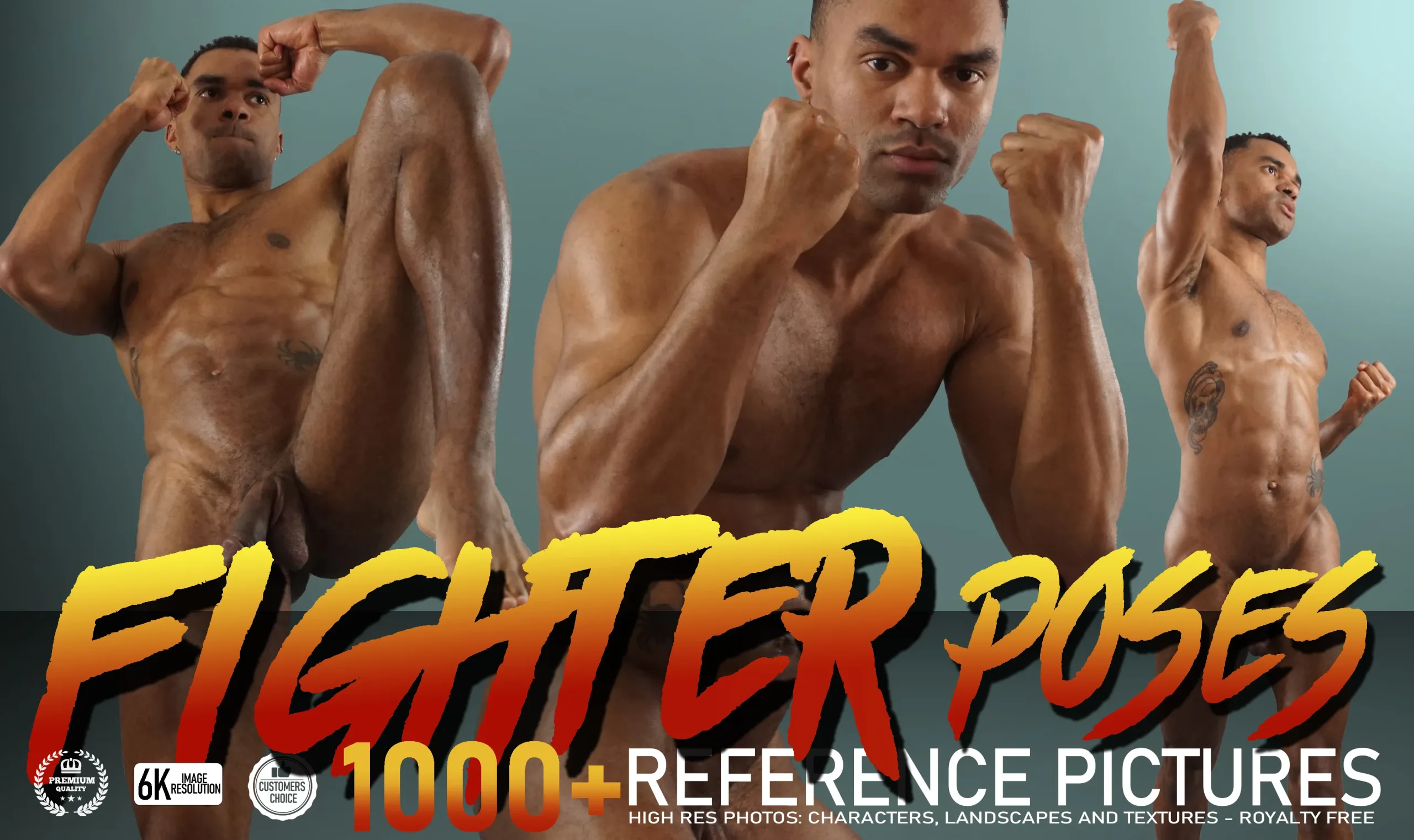 Fighter Poses 1000+ Reference Pictures