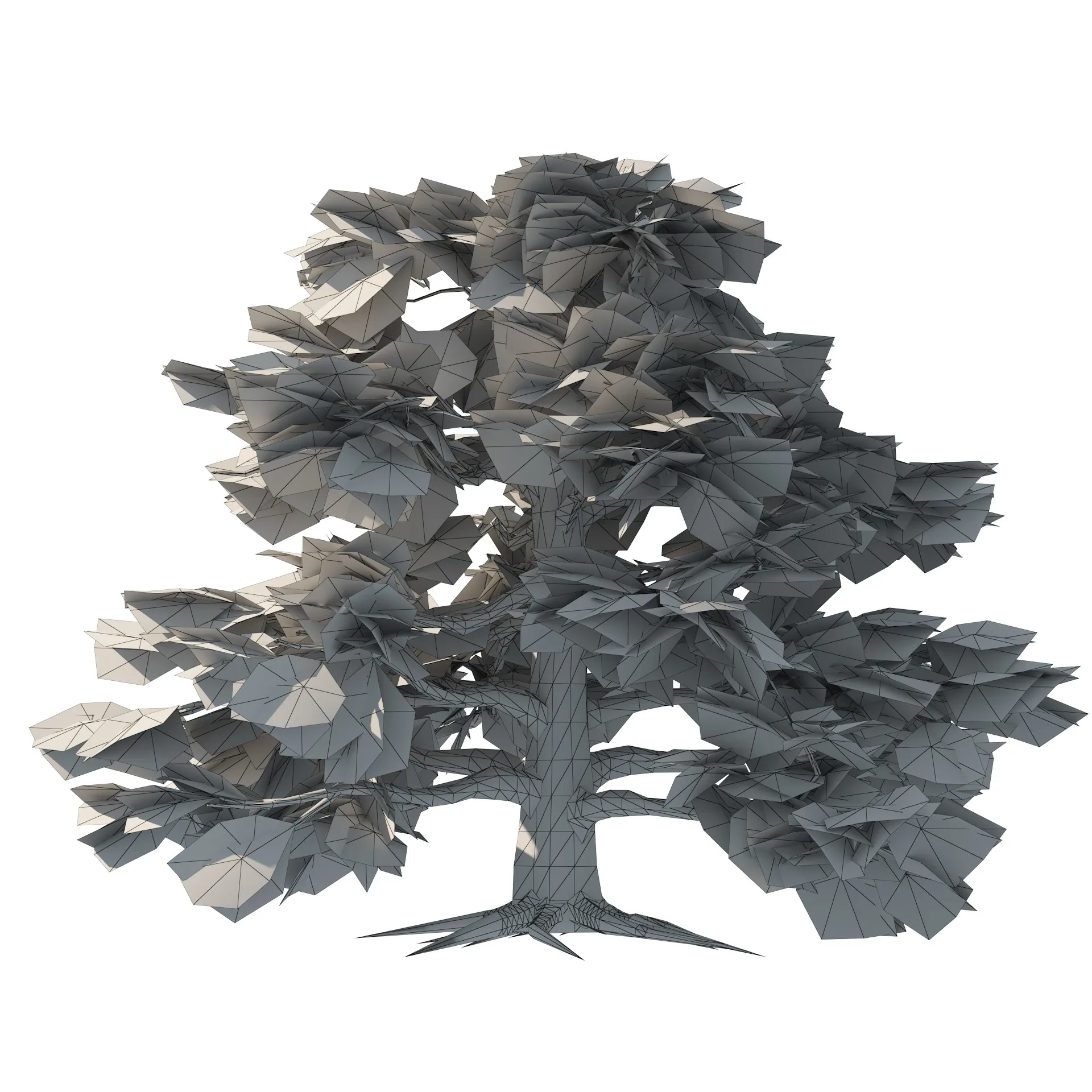 Low Poly Common Beech Trees 3D Model