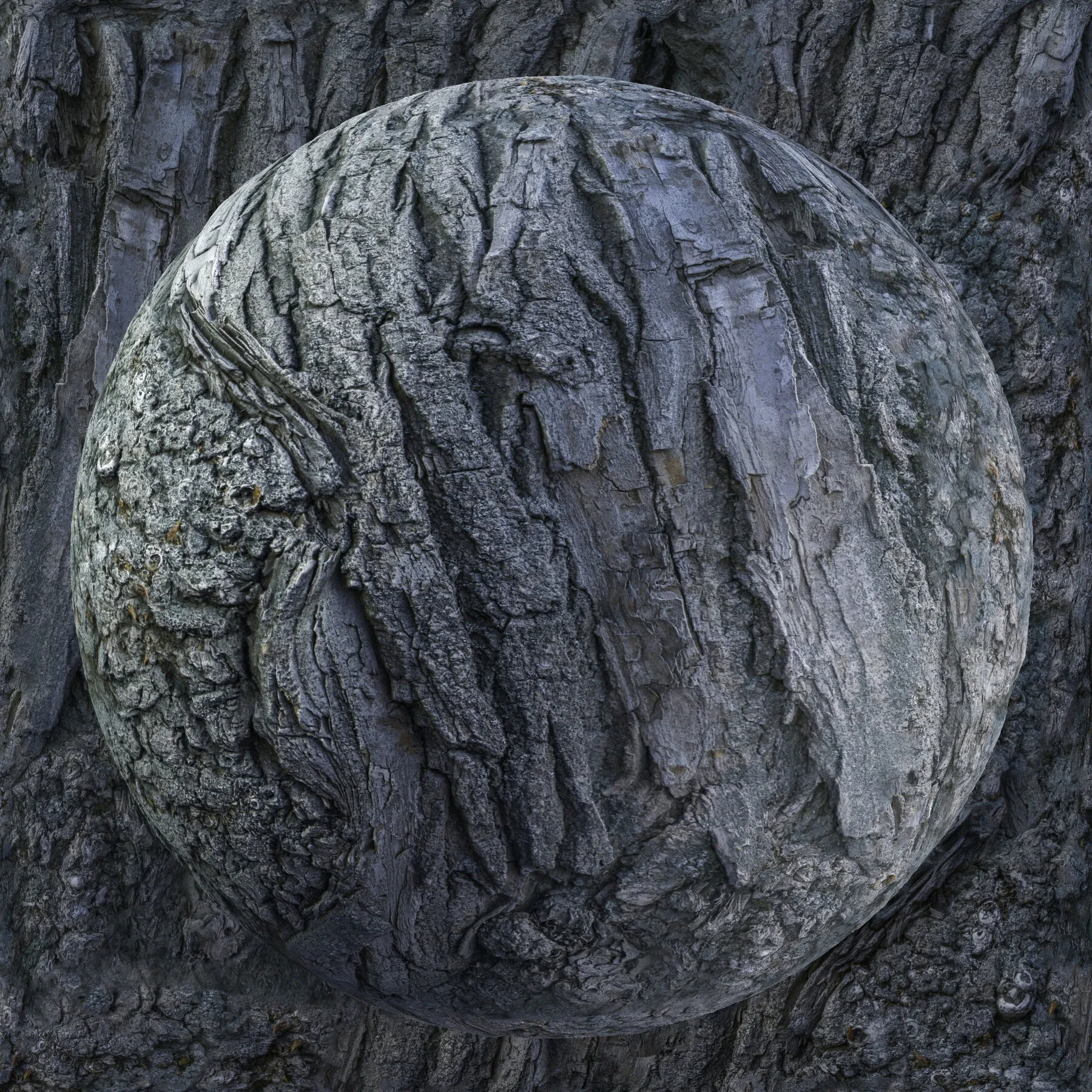 PBR Tree Bark Bundle - 25 8K Seamless Textures (Free Sample)