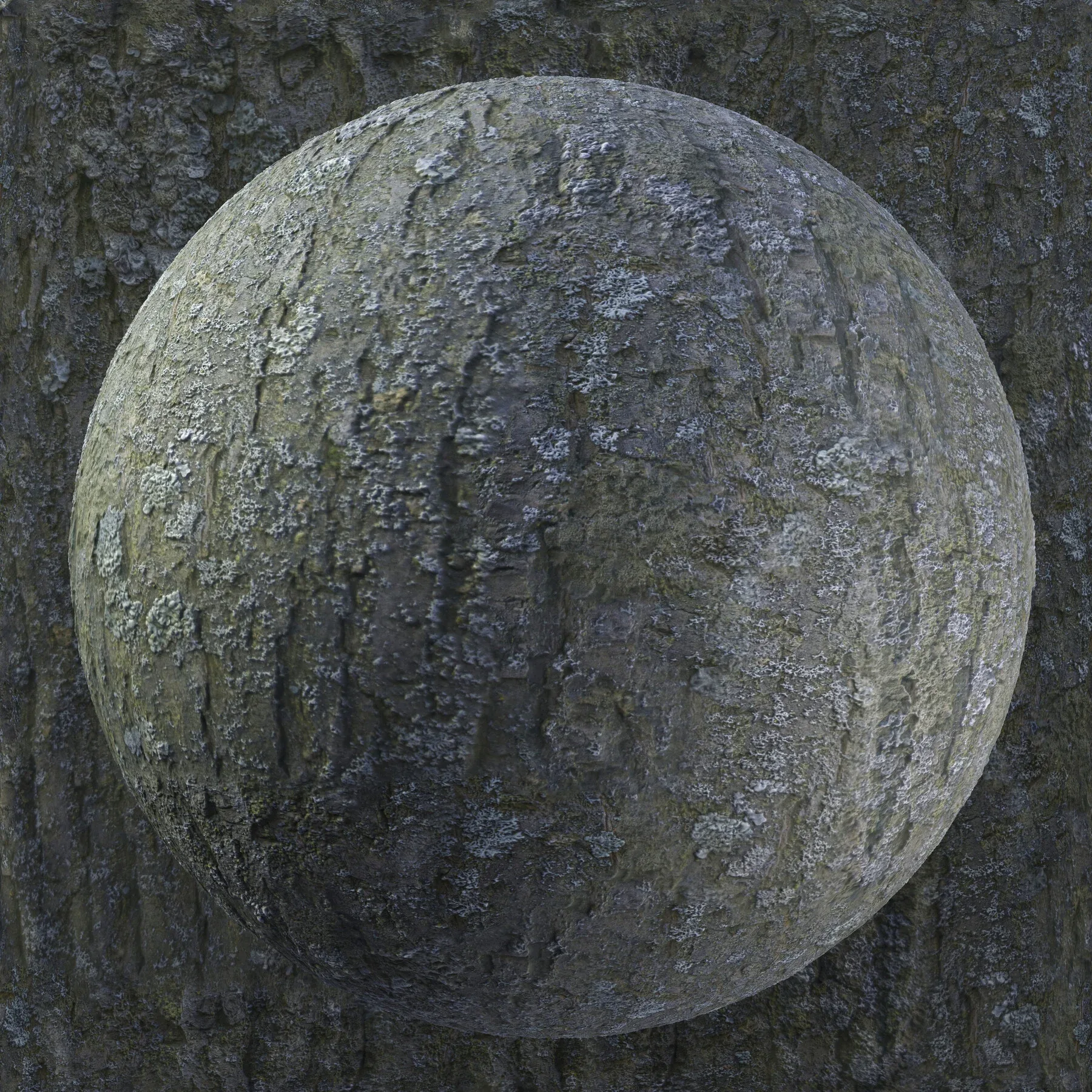 PBR Tree Bark Bundle - 25 8K Seamless Textures (Free Sample)