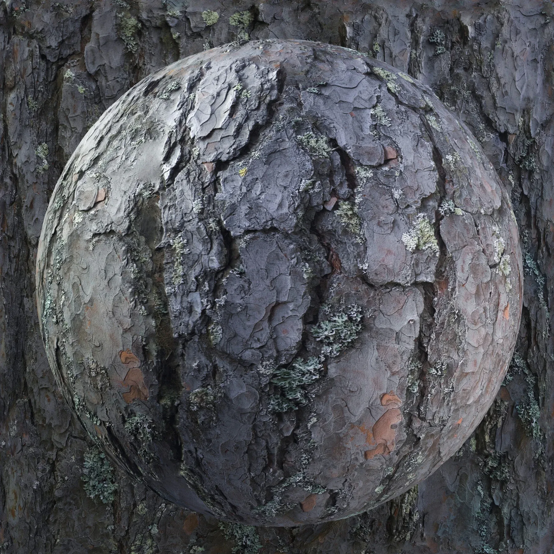 PBR Tree Bark Bundle - 25 8K Seamless Textures (Free Sample)