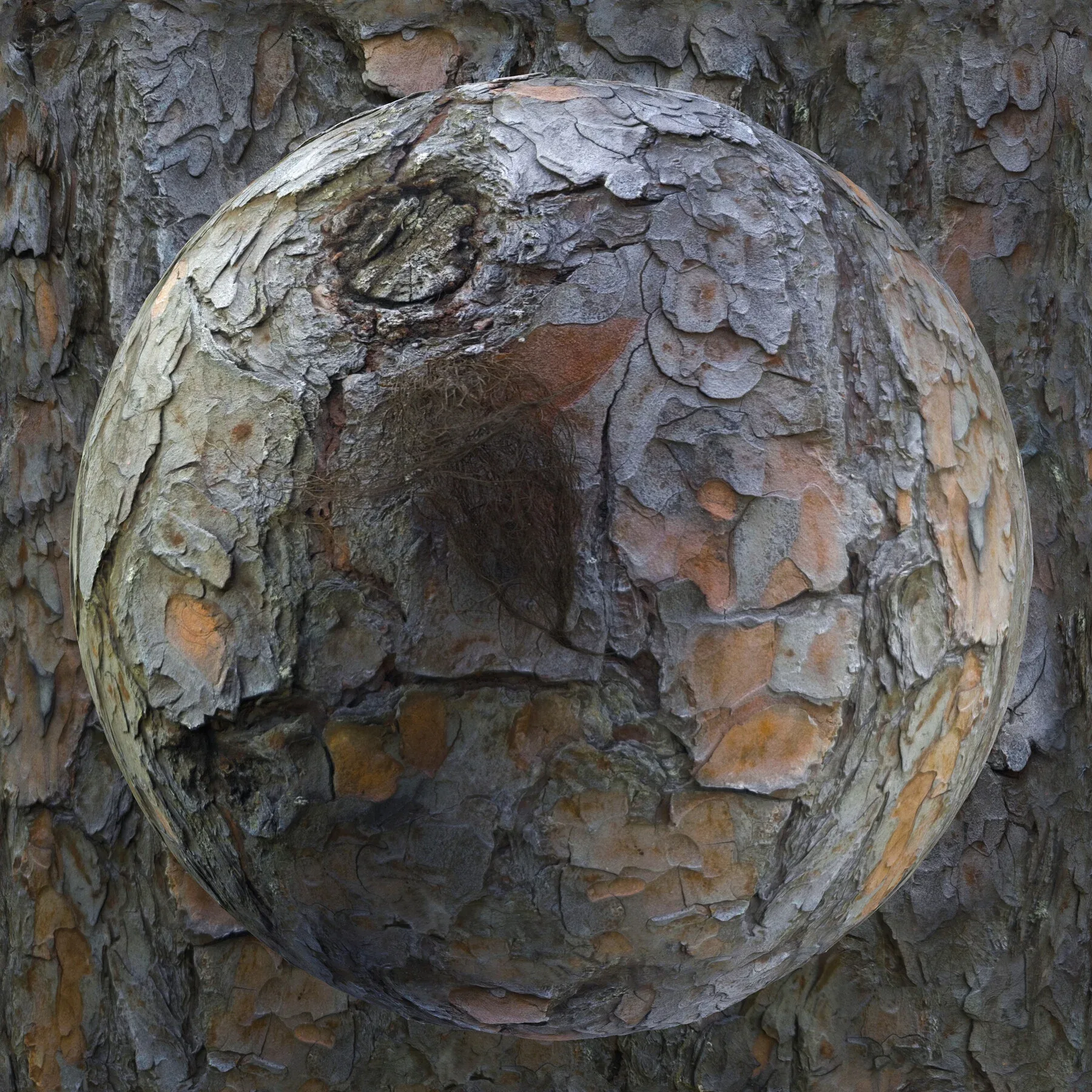 PBR Tree Bark Bundle - 25 8K Seamless Textures (Free Sample)