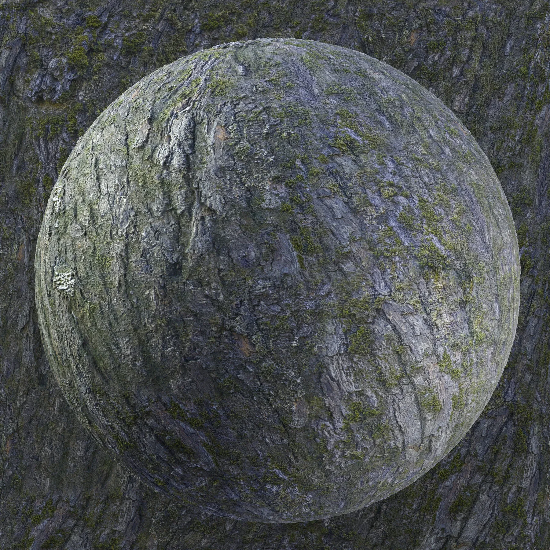 PBR Tree Bark Bundle - 25 8K Seamless Textures (Free Sample)