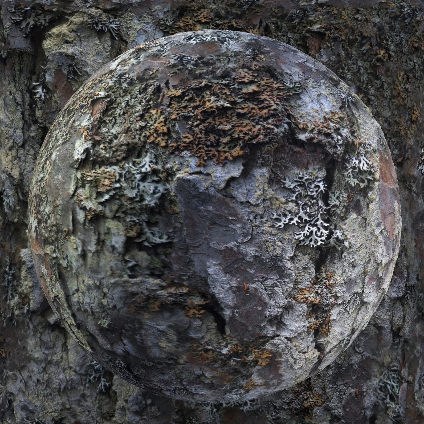 PBR Tree Bark Bundle - 25 8K Seamless Textures (Free Sample)