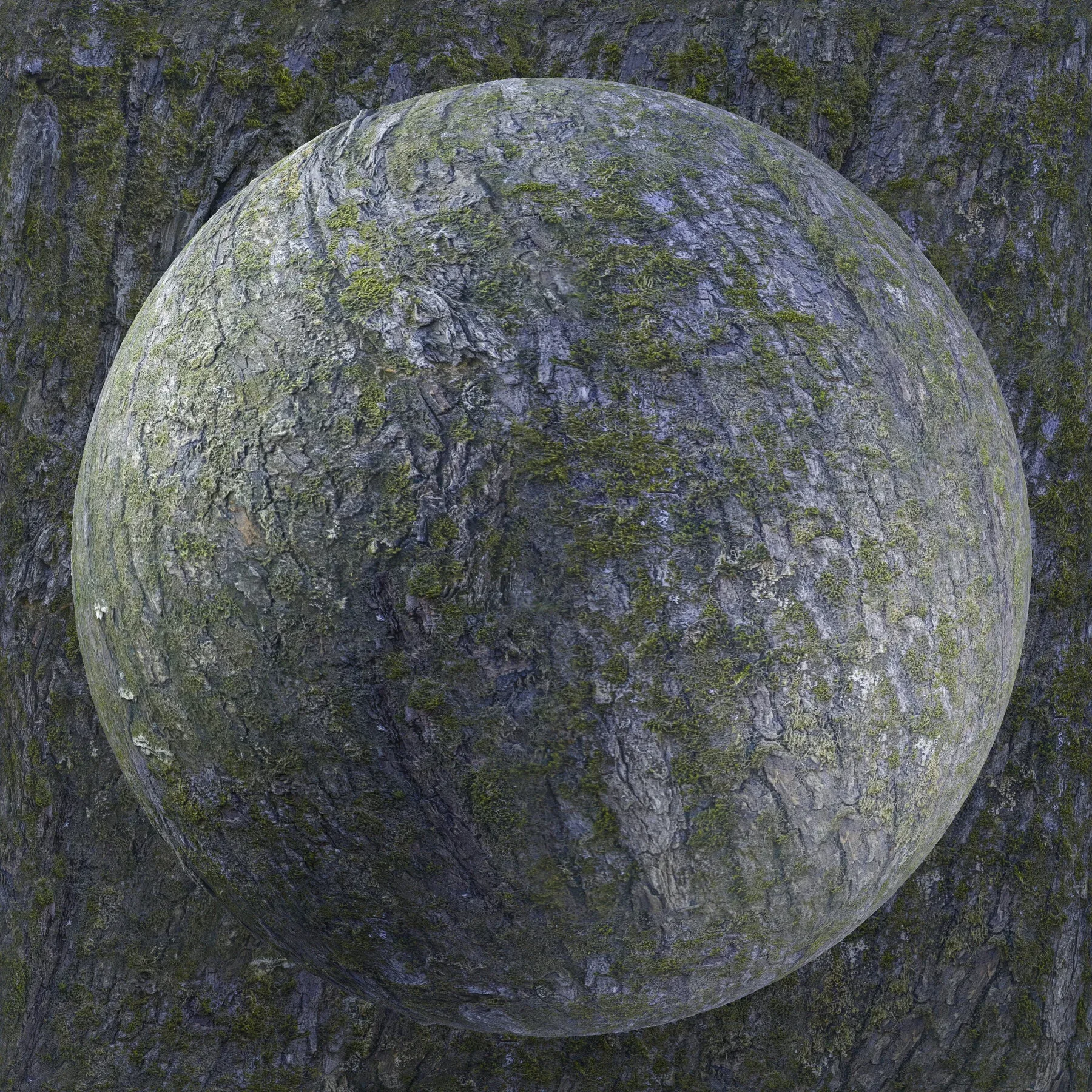 PBR Tree Bark Bundle - 25 8K Seamless Textures (Free Sample)