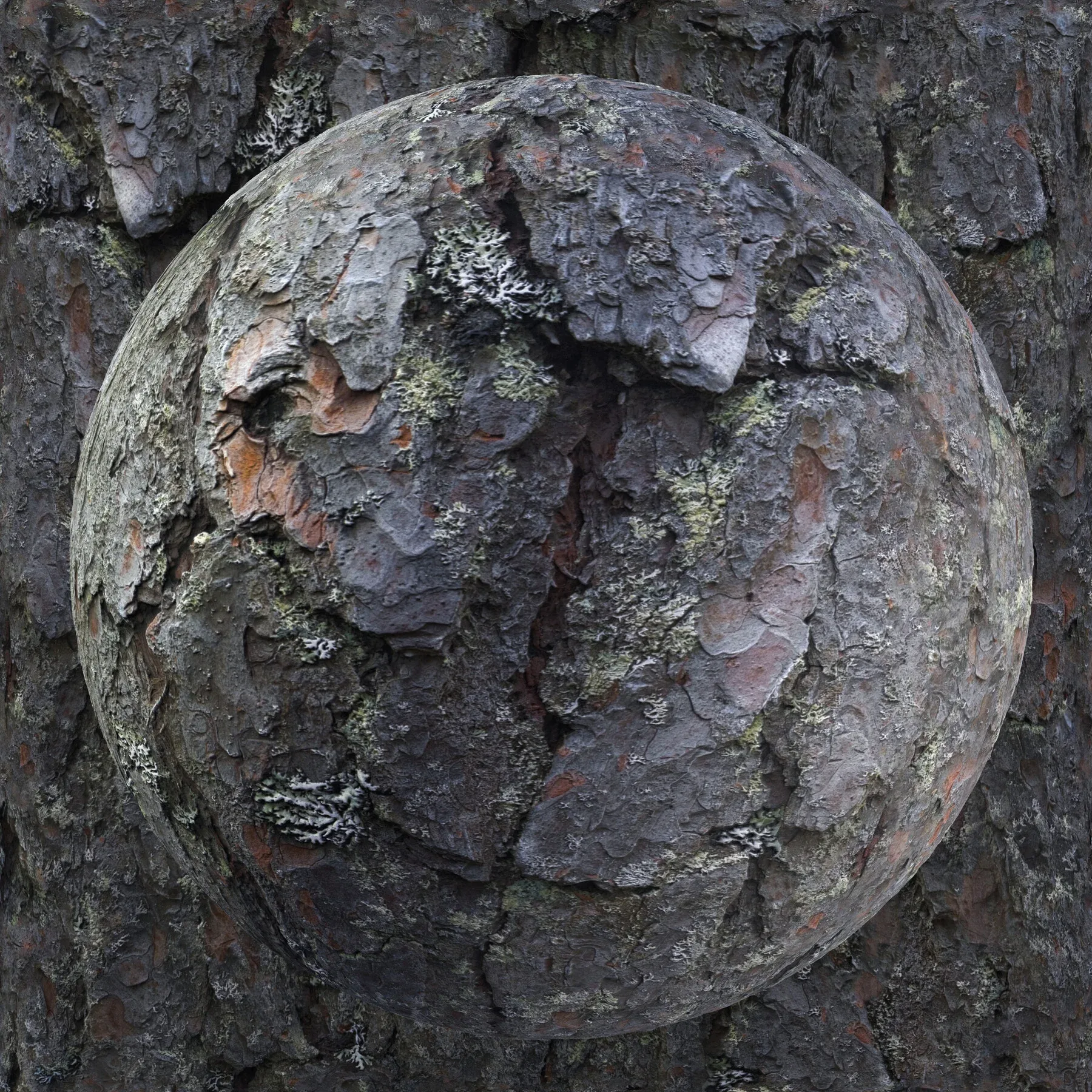 PBR Tree Bark Bundle - 25 8K Seamless Textures (Free Sample)