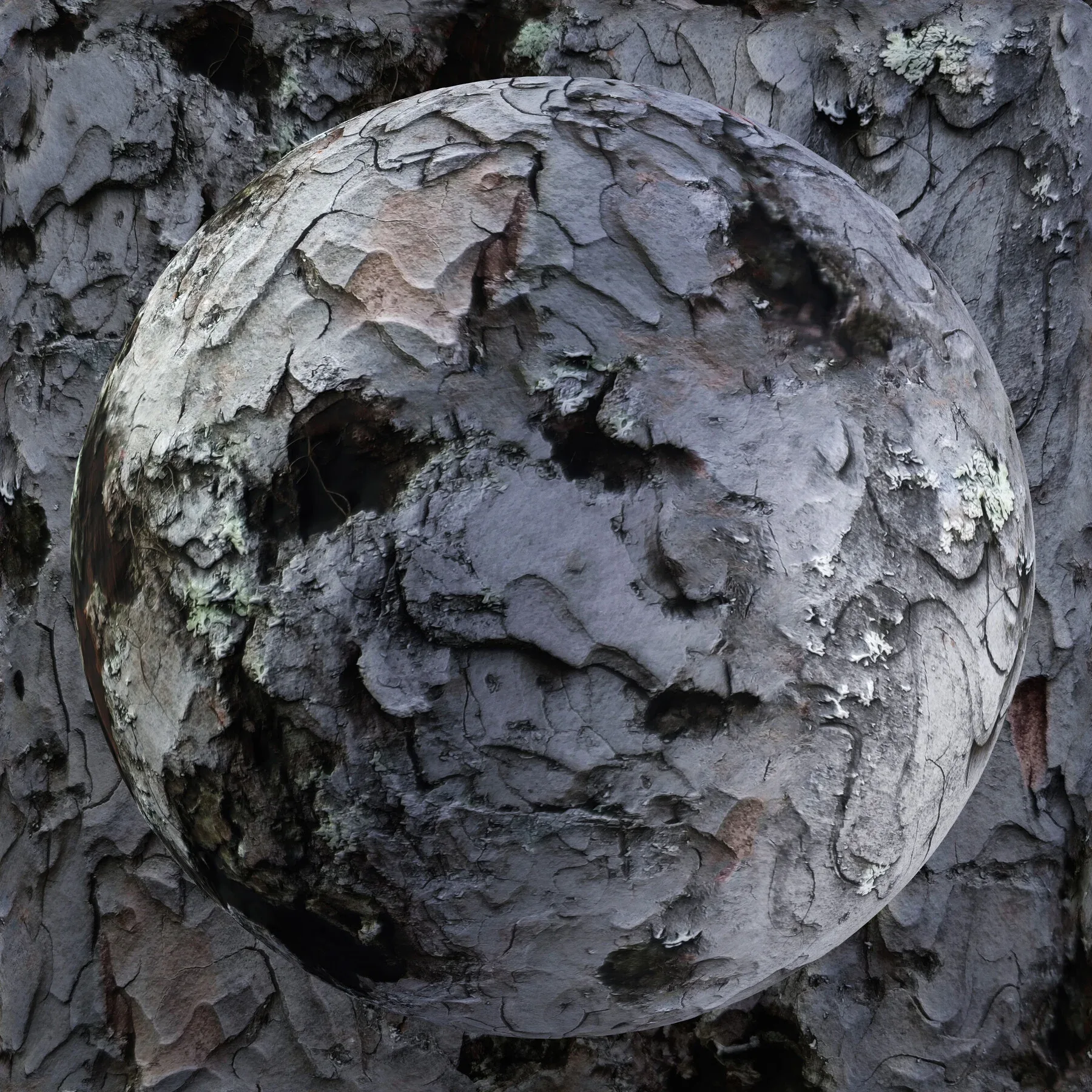 PBR Tree Bark Bundle - 25 8K Seamless Textures (Free Sample)