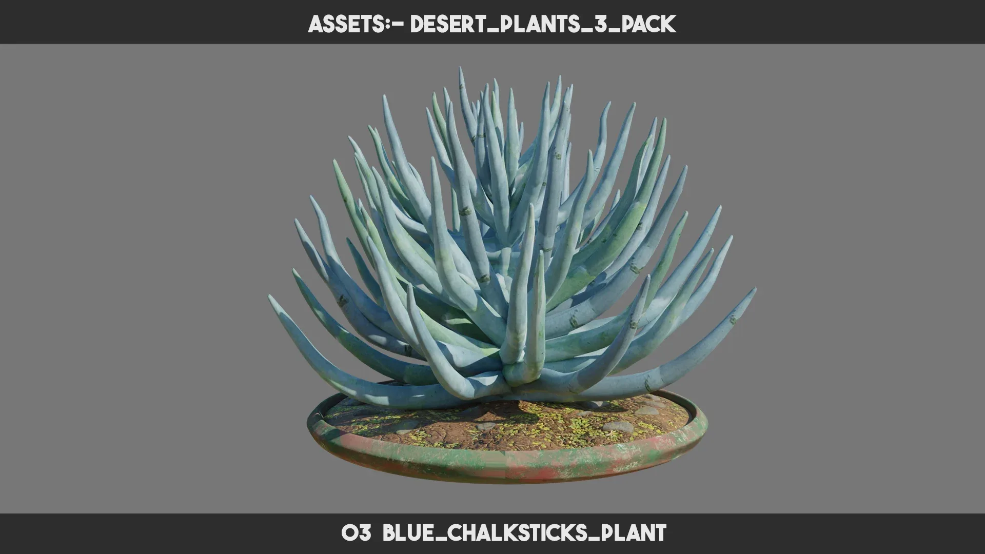 Desert Plants 3 PACK