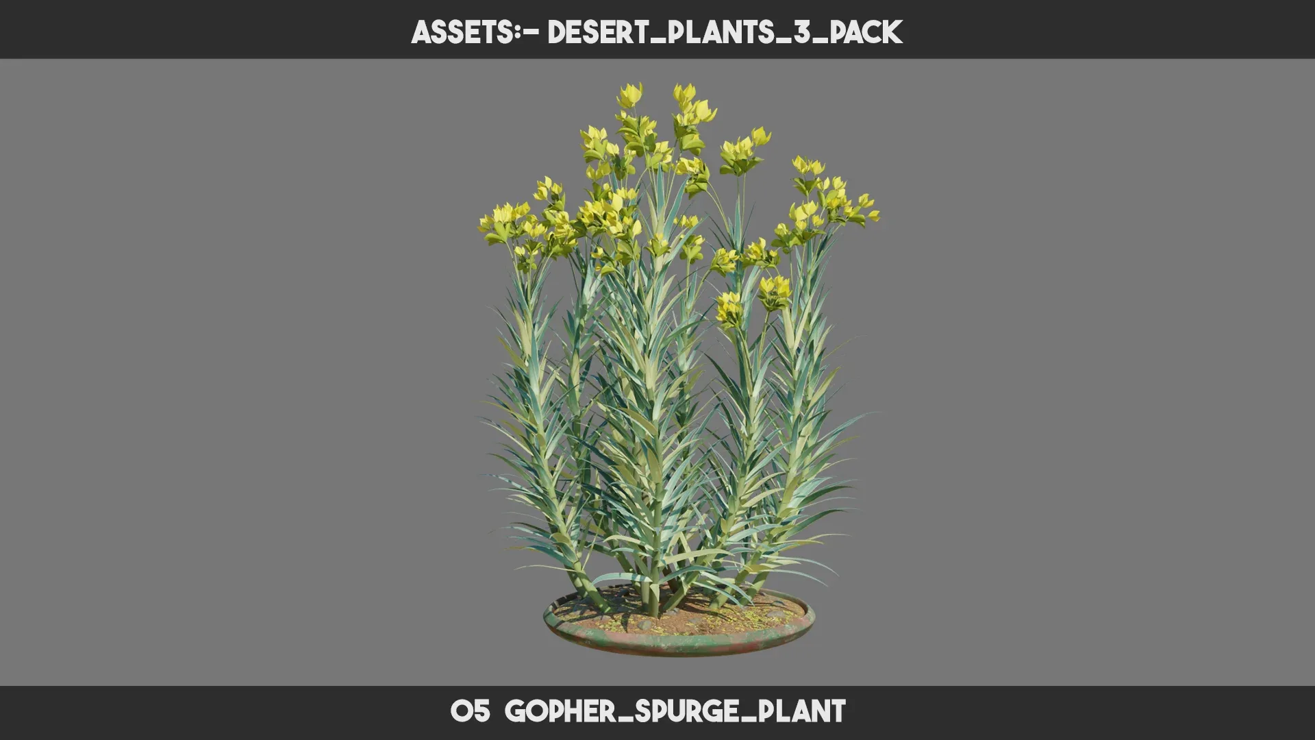 Desert Plants 3 PACK