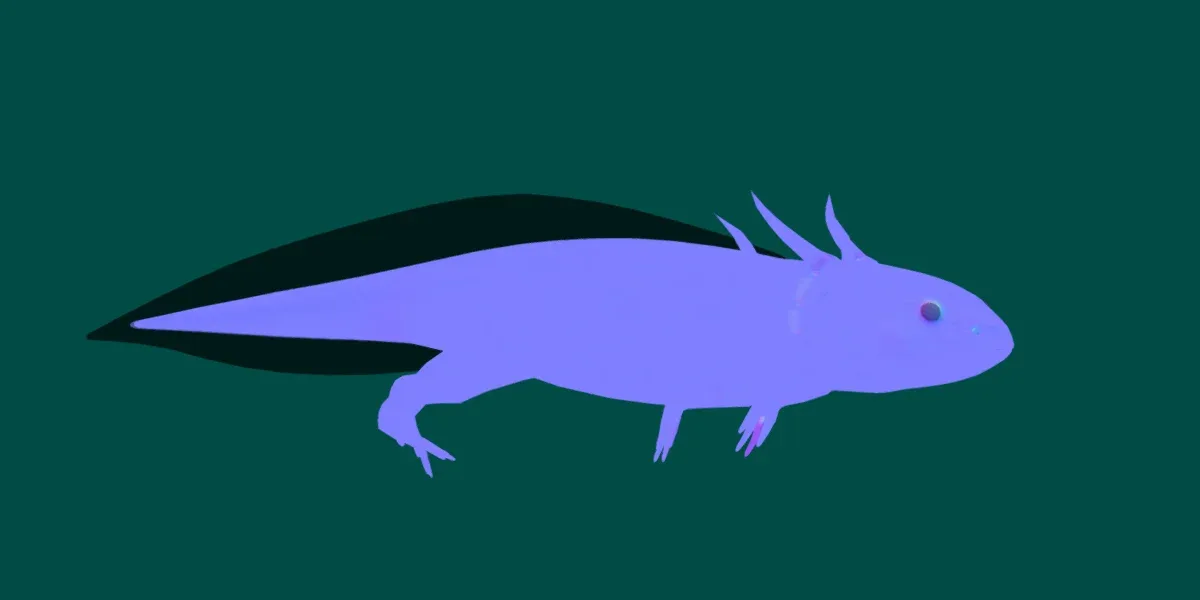 Axolotl